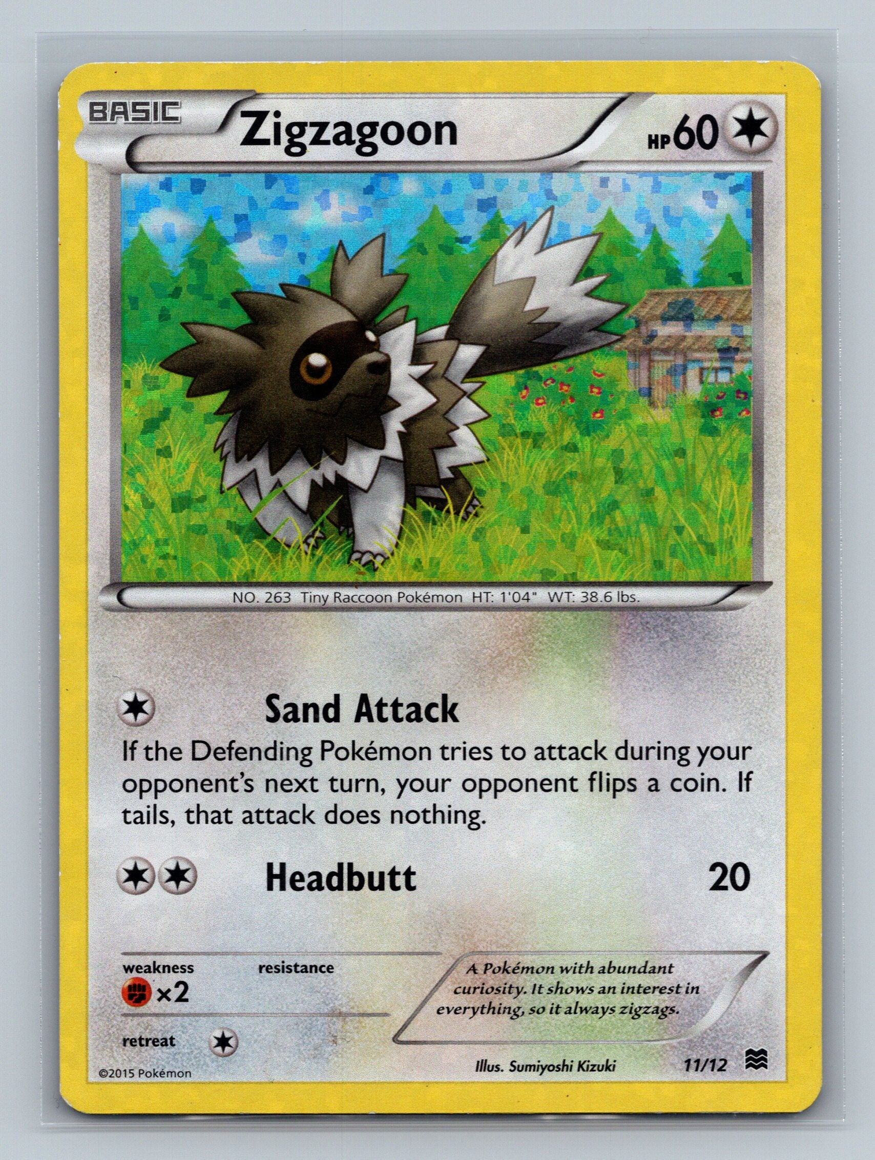 Zigzagoon - 11/12