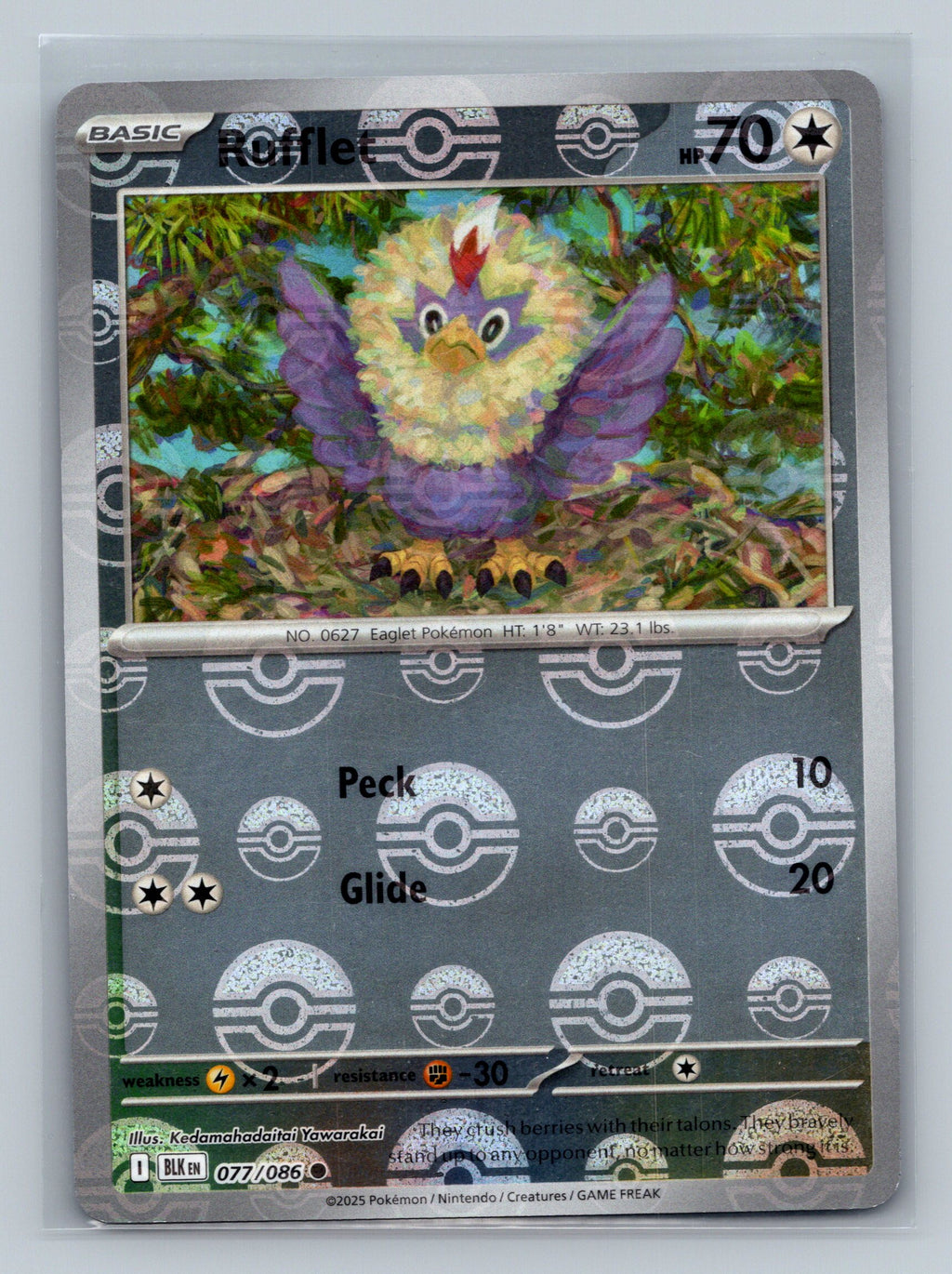Rufflet (Poke Ball Pattern)