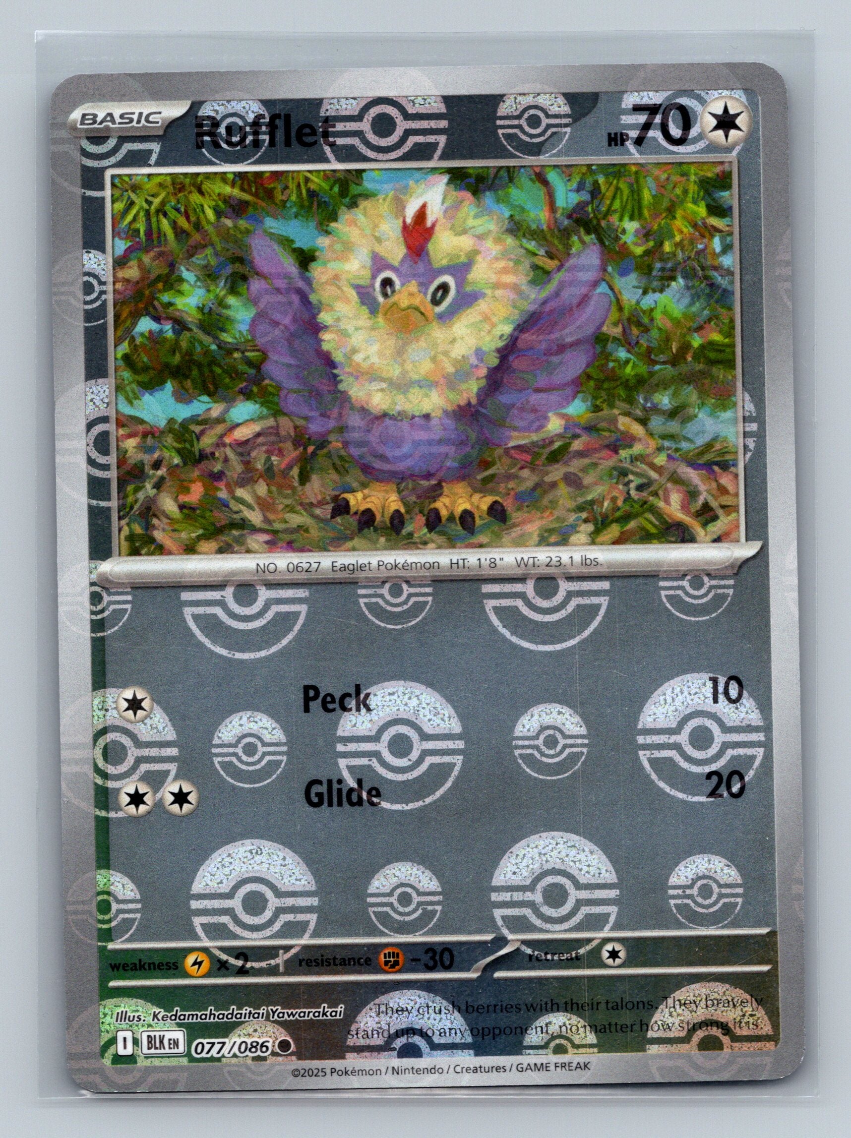 Rufflet (Poke Ball Pattern)