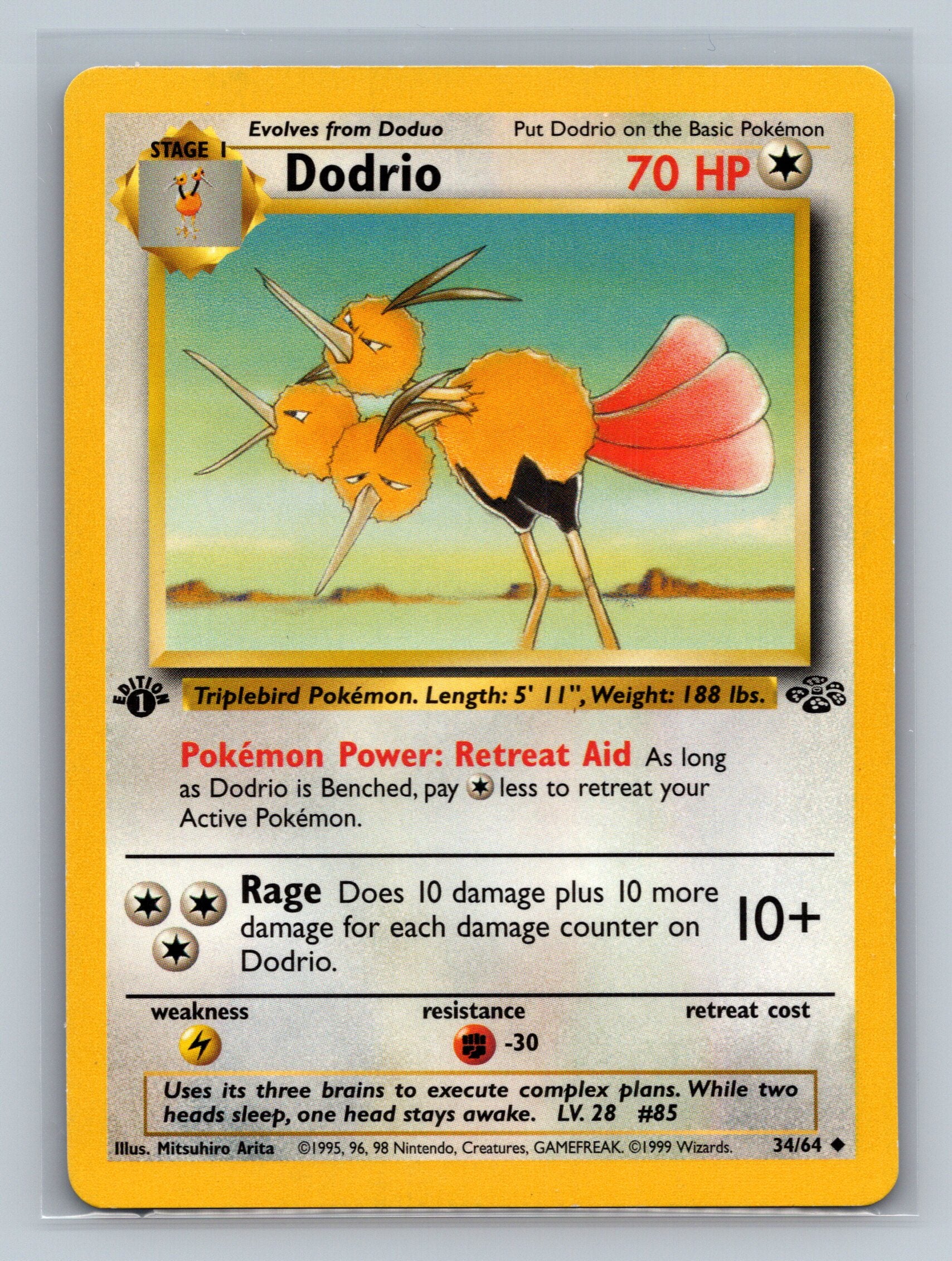Dodrio