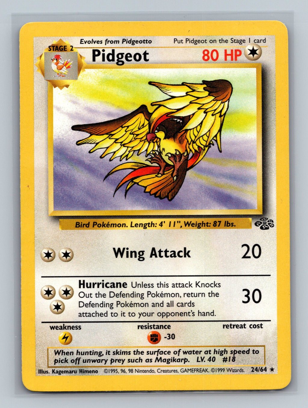 Pidgeot (24)
