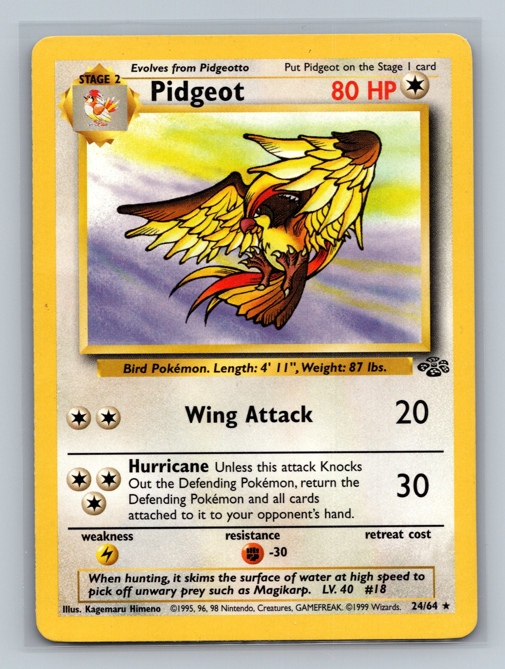 Pidgeot (24)