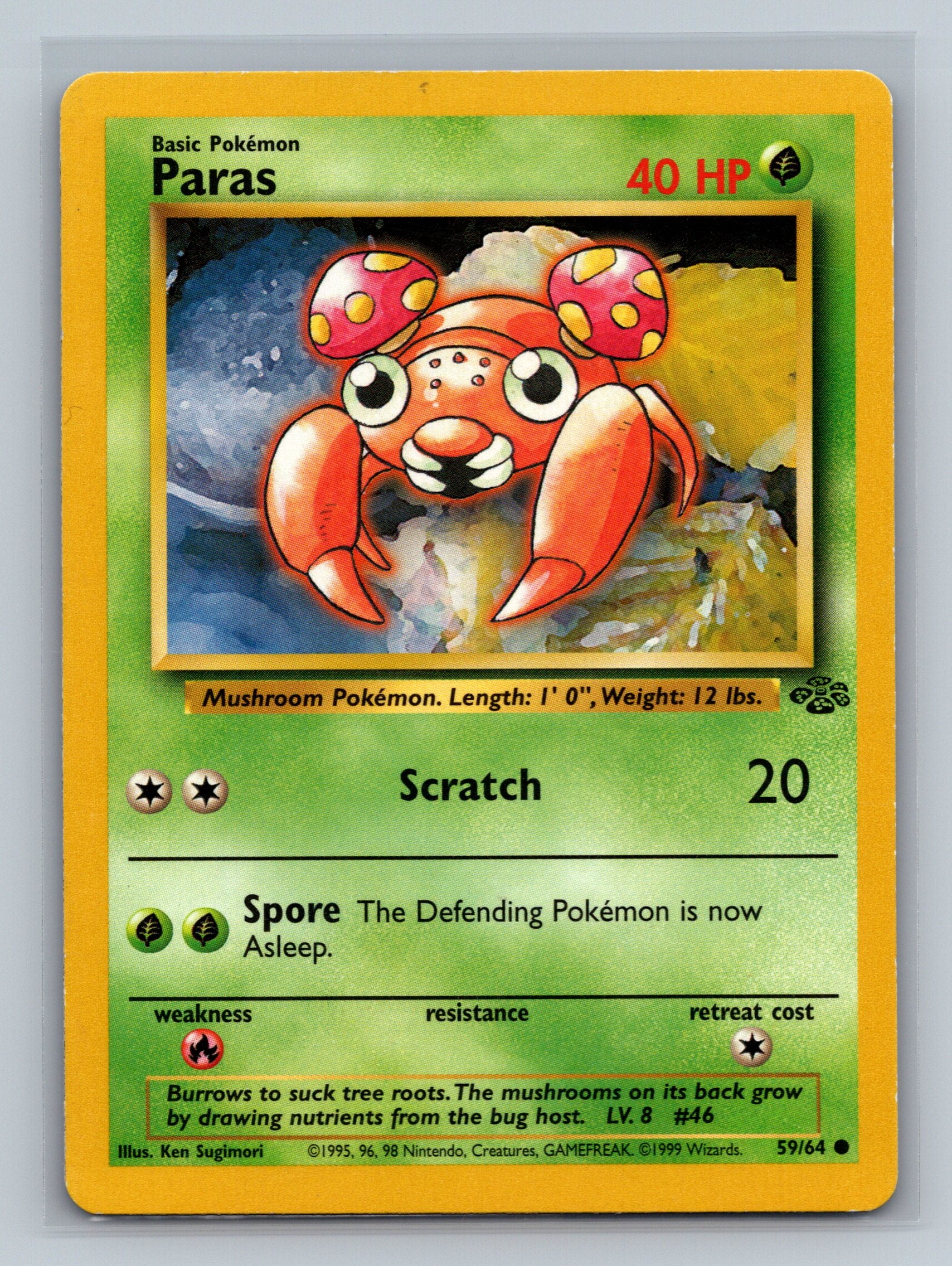 Paras