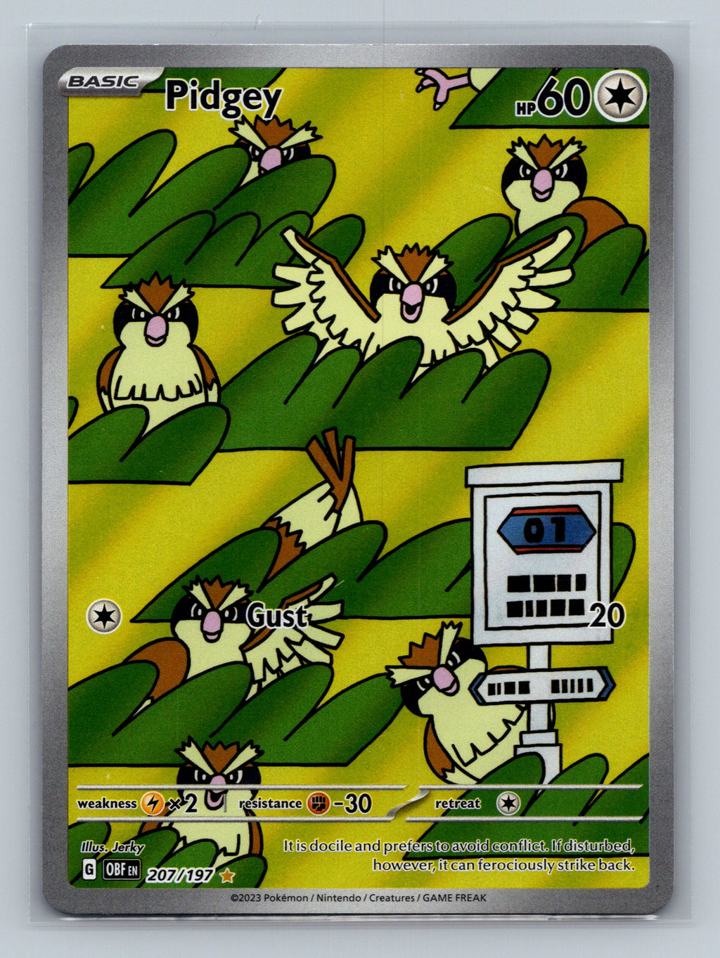 Pidgey - 207/197