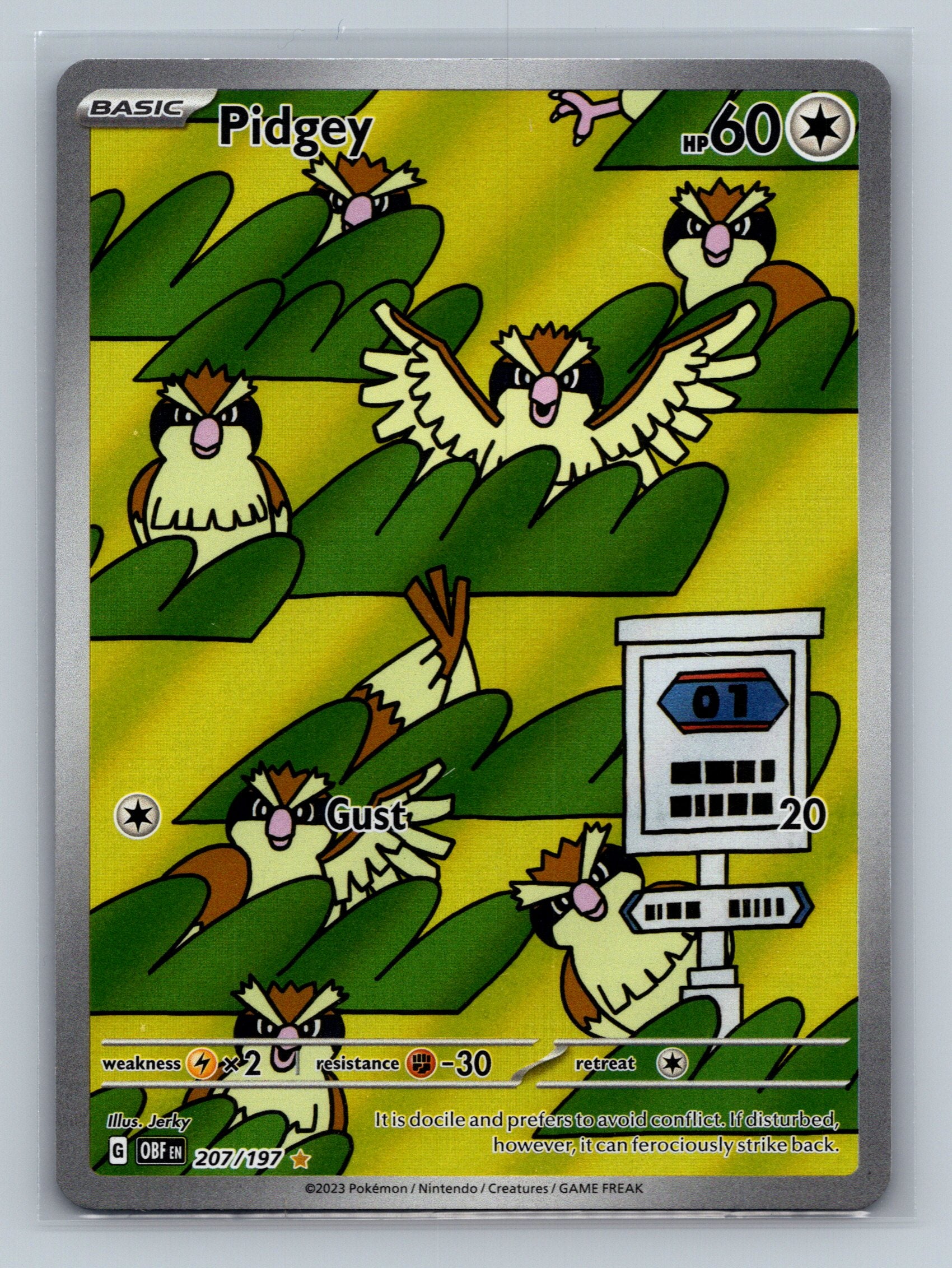 Pidgey - 207/197