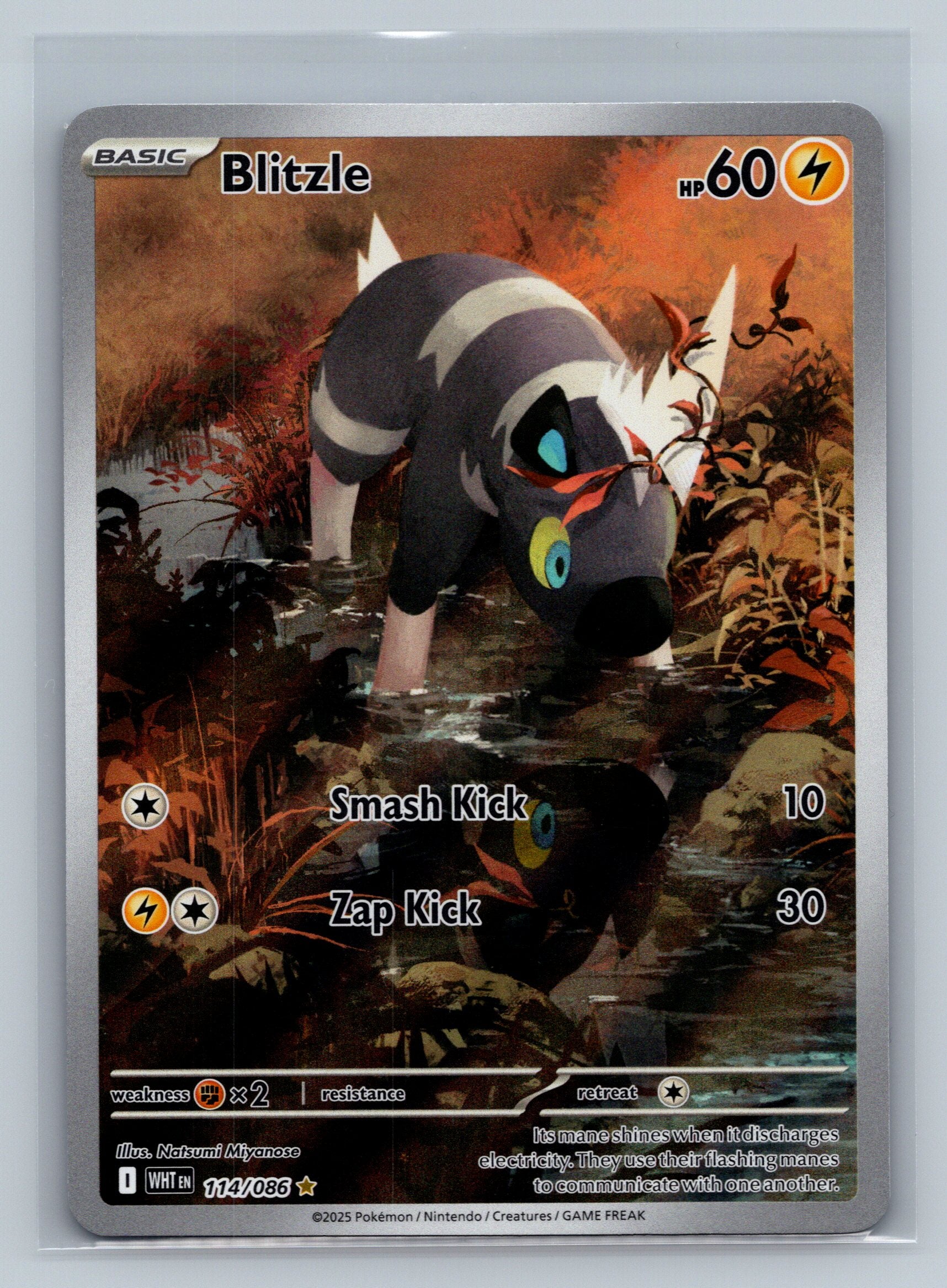 Blitzle - 114/086