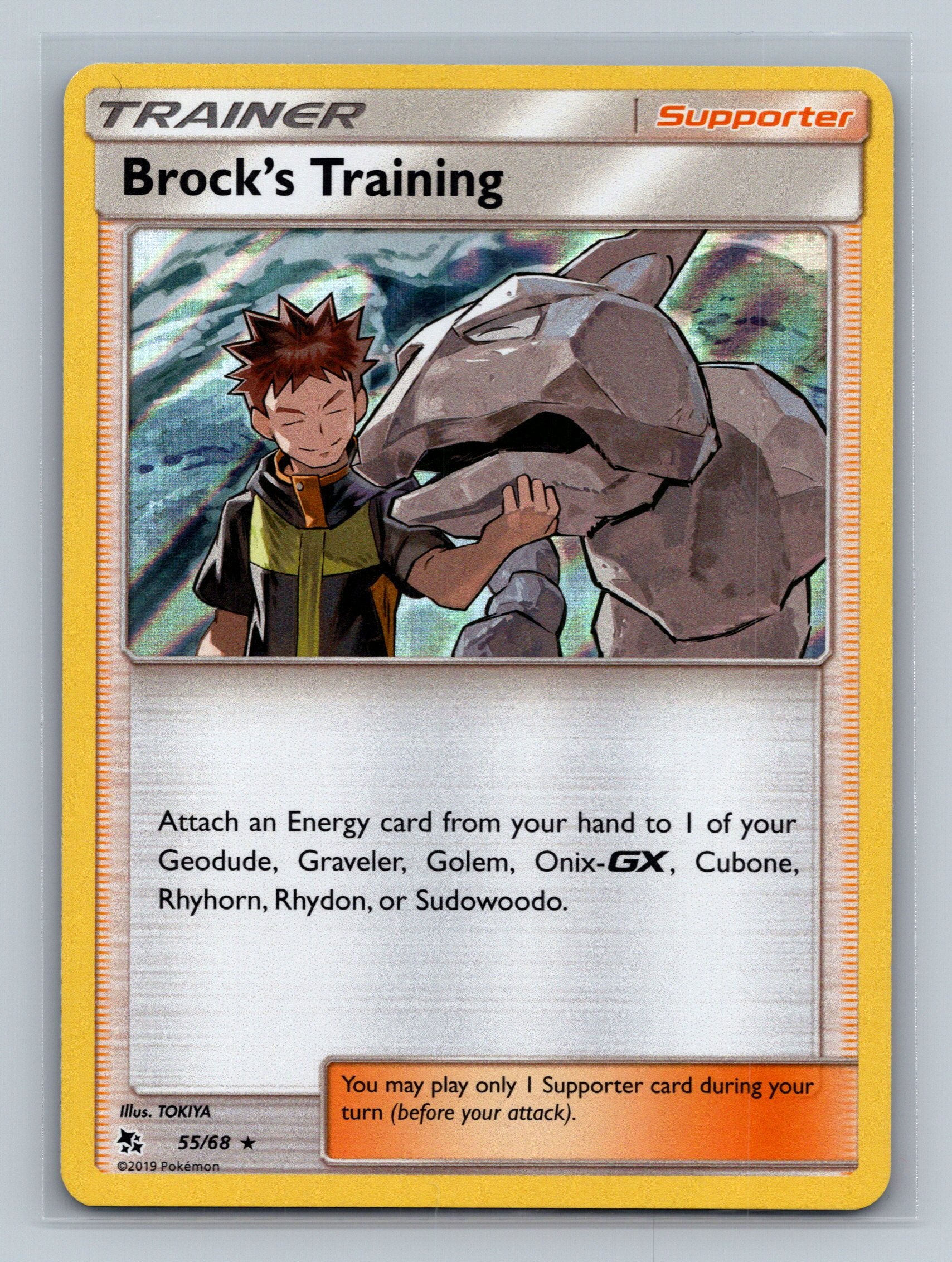 Brock's Training