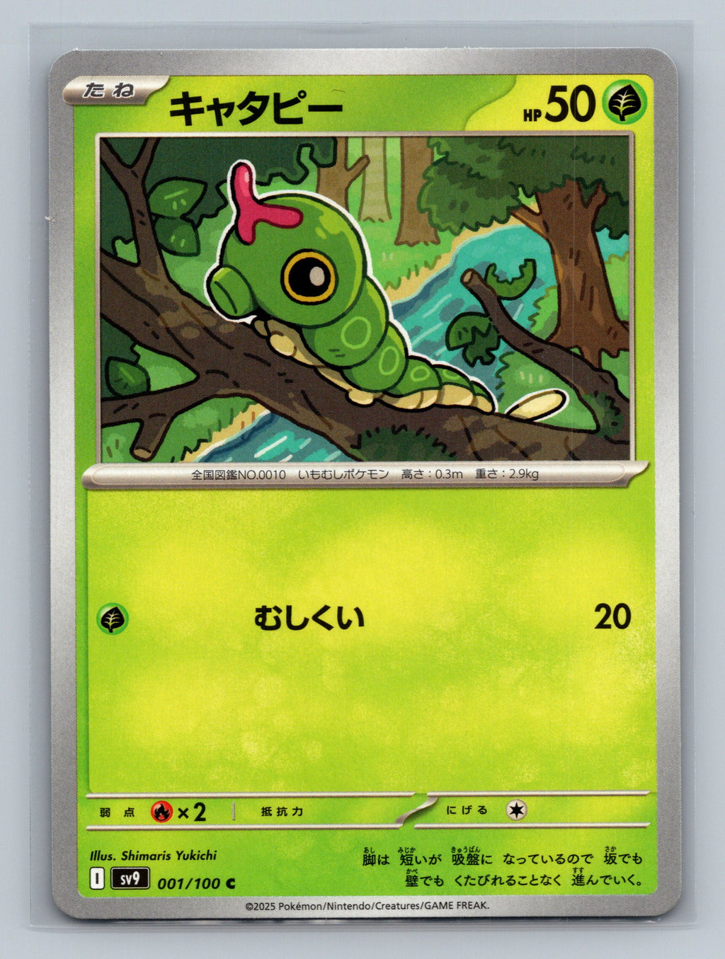 Caterpie