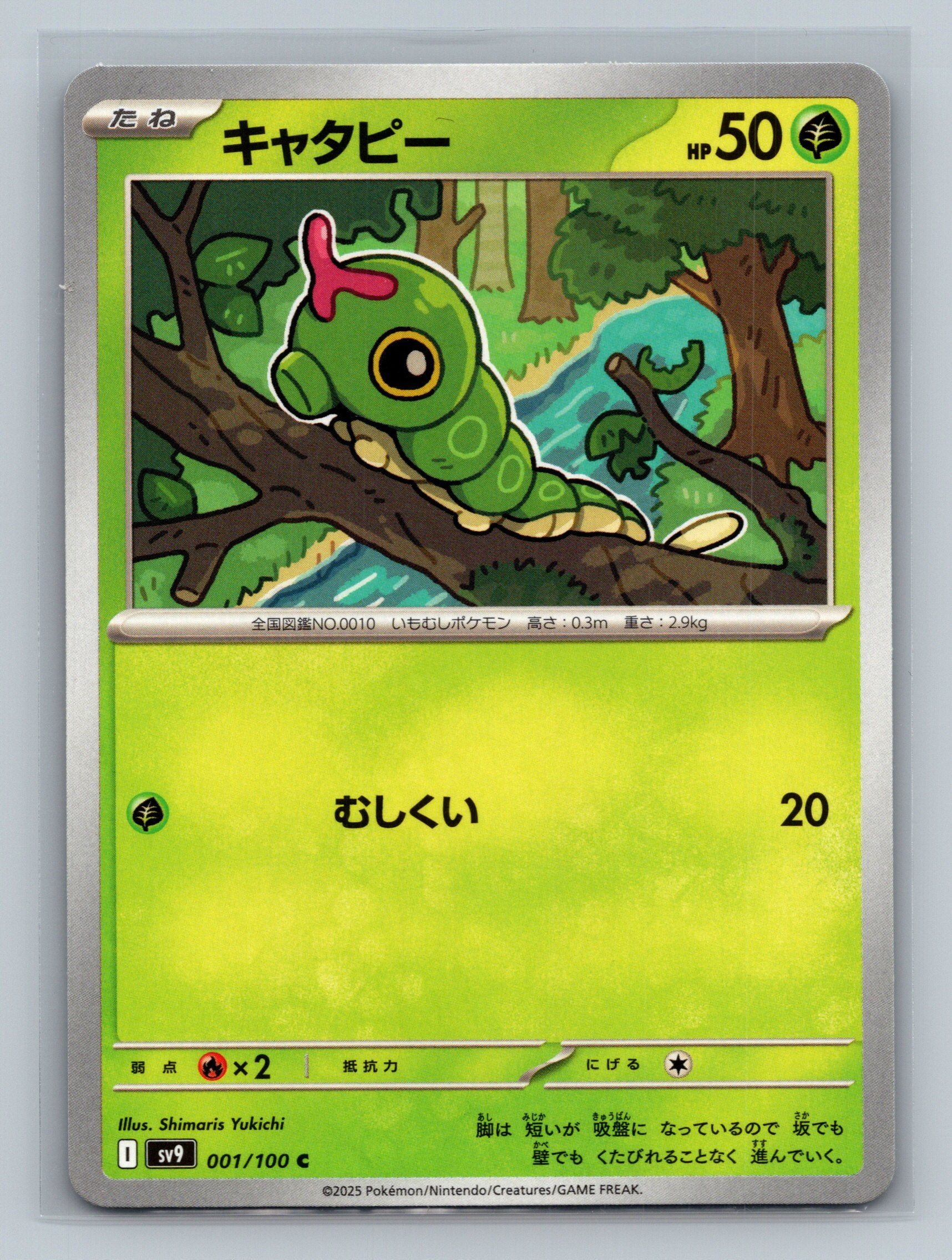Caterpie