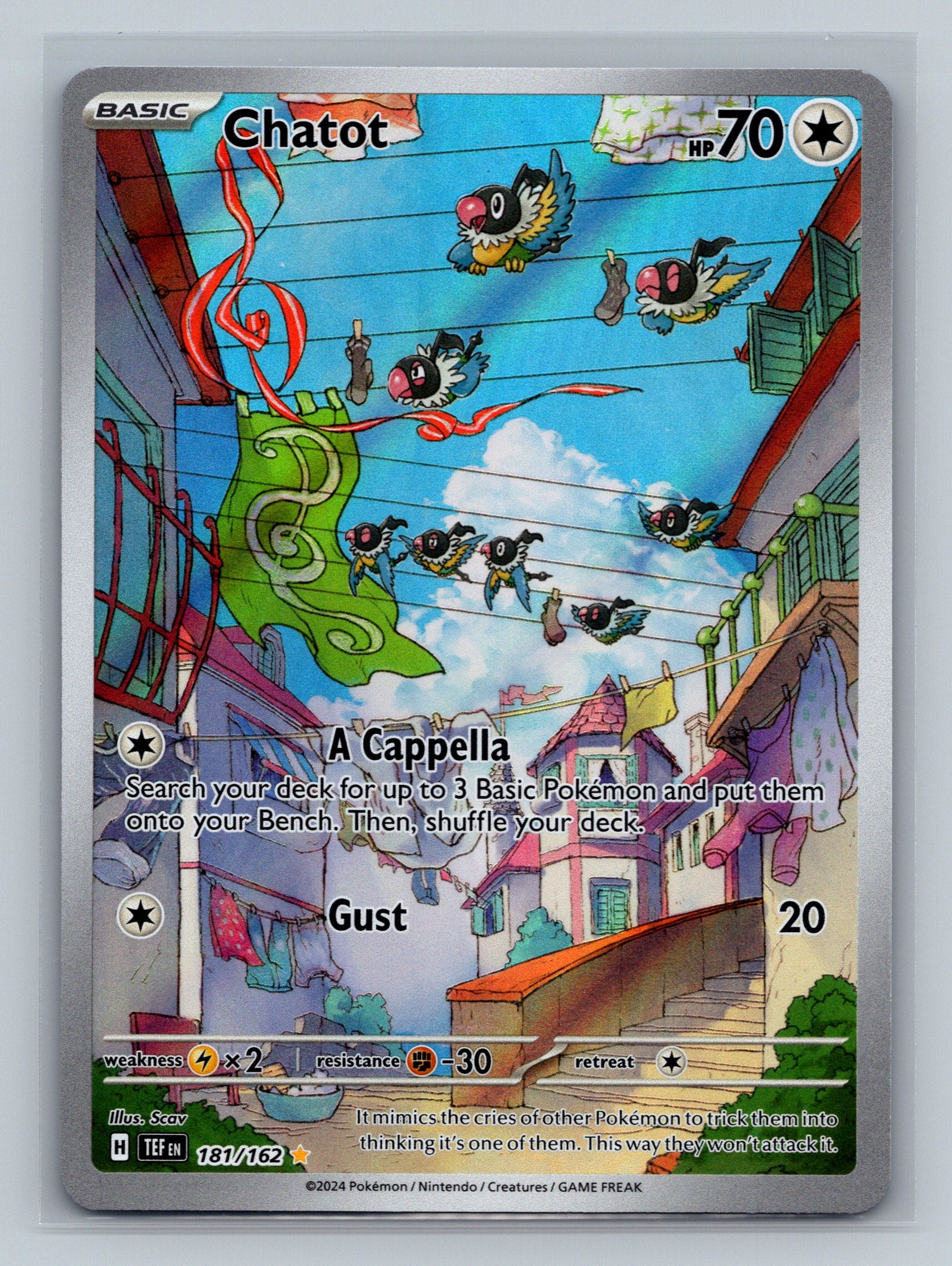 Chatot - 181/162