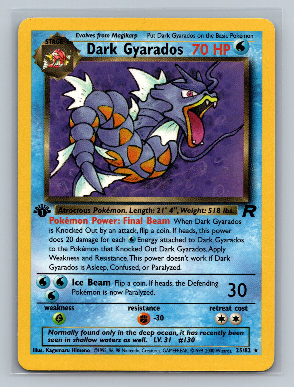 Dark Gyarados (25)