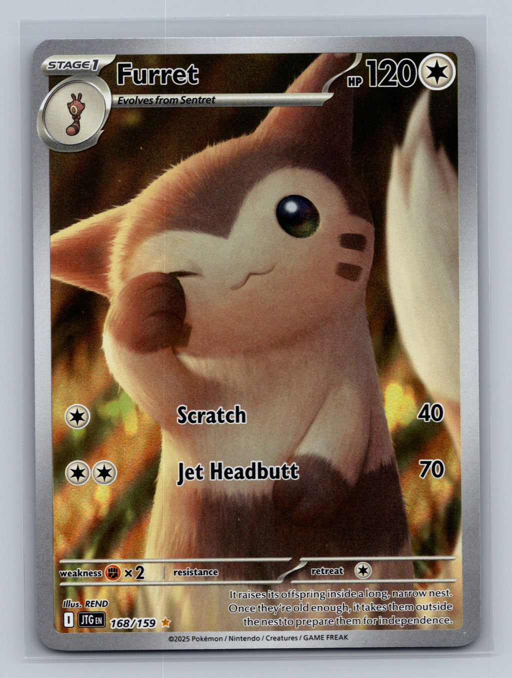 Furret - 168/159