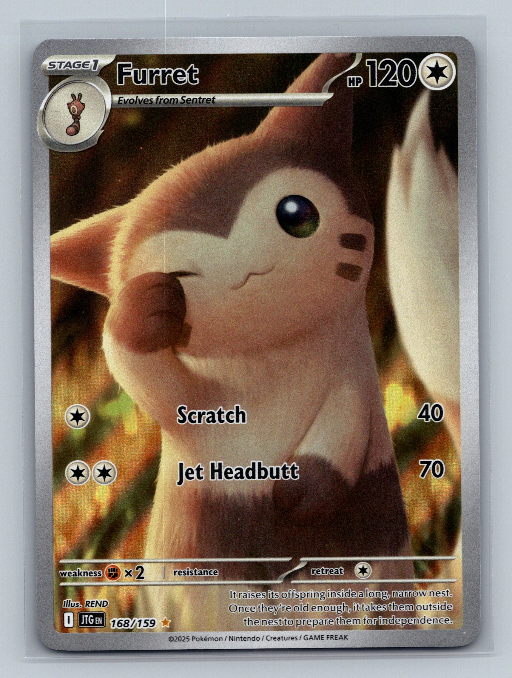 Furret - 168/159