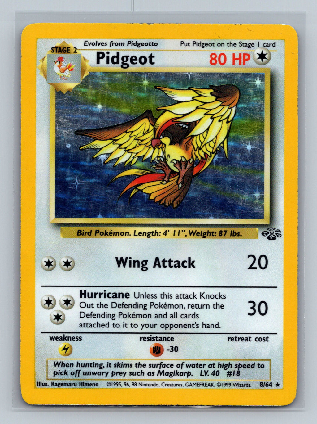 Pidgeot (8)