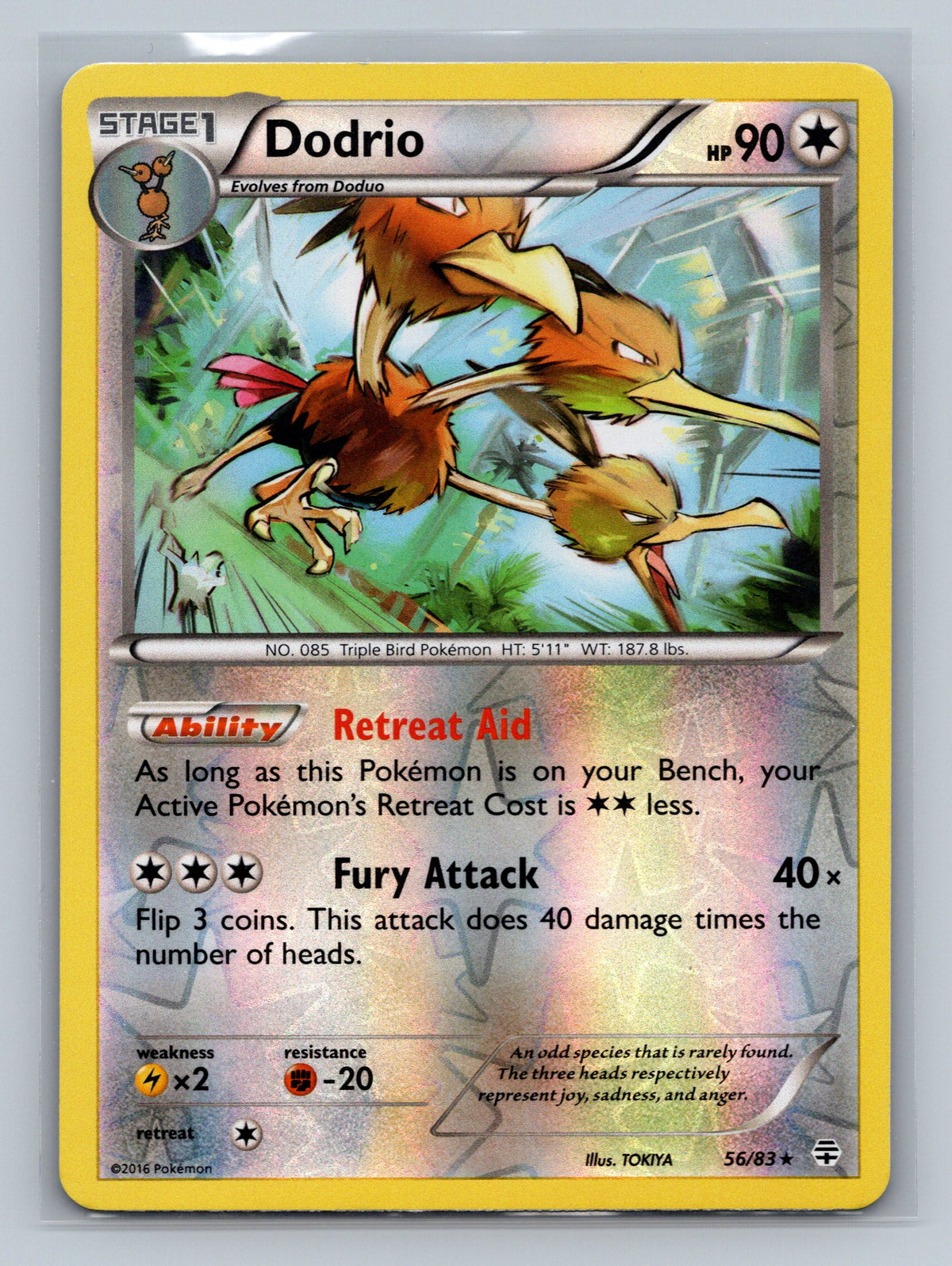Dodrio