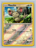 Minccino