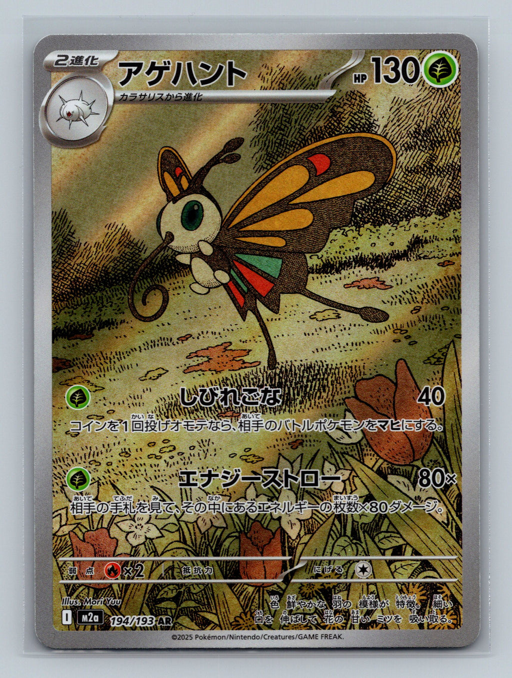 Beautifly - 194/193
