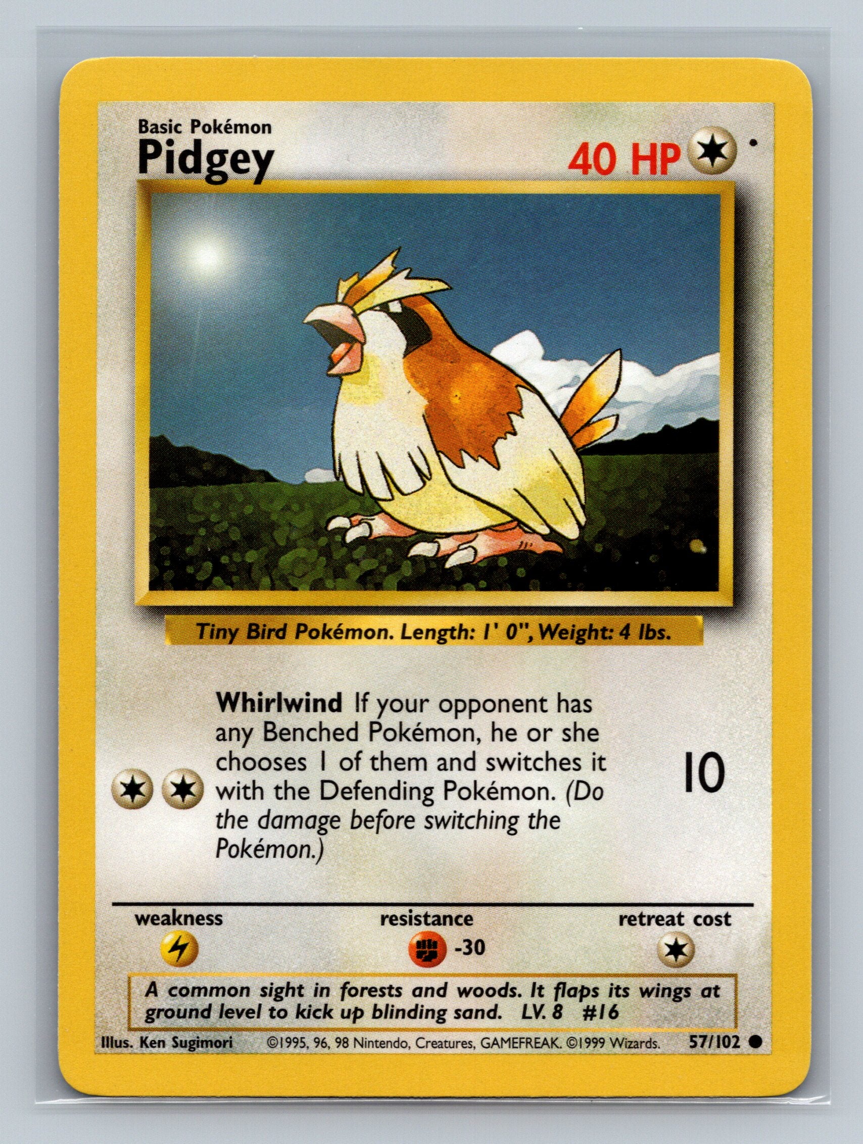 Pidgey