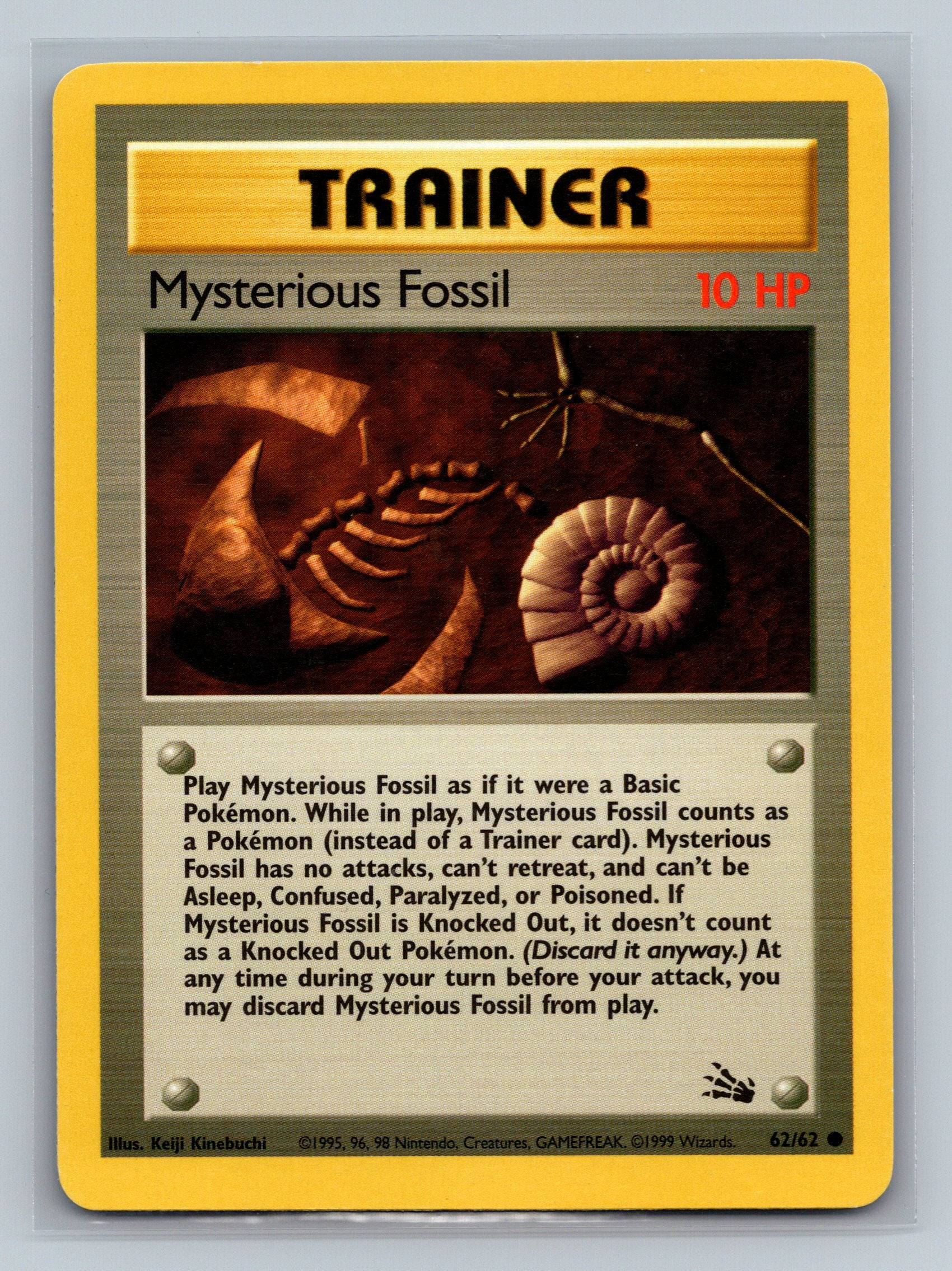 Mysterious Fossil