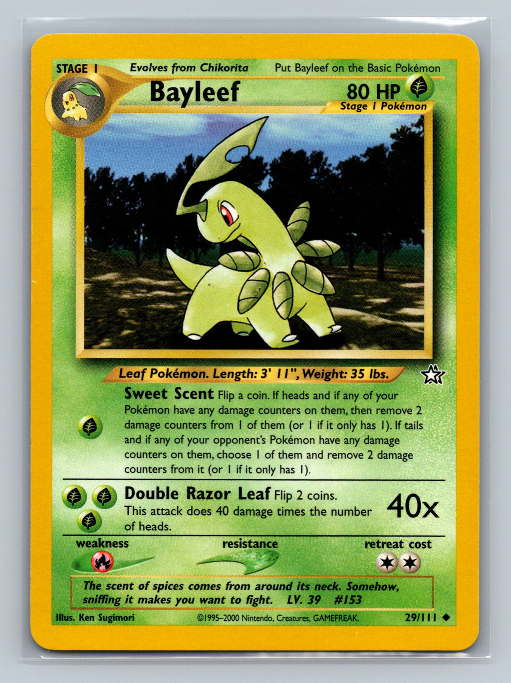 Bayleef (29)