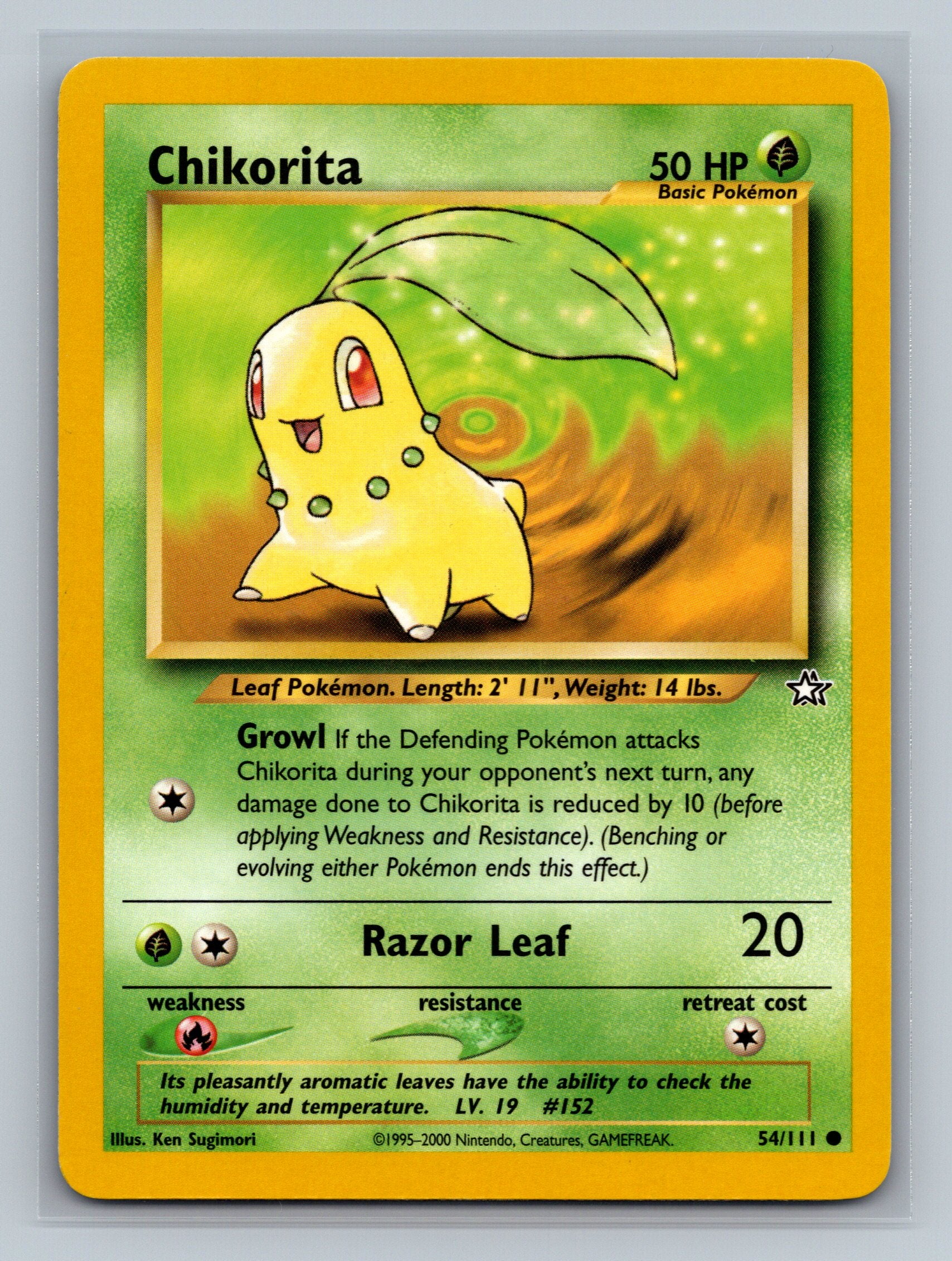 Chikorita (54)