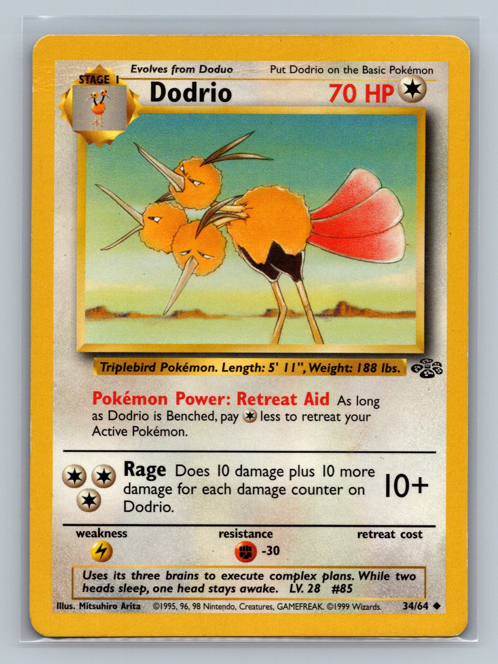 Dodrio