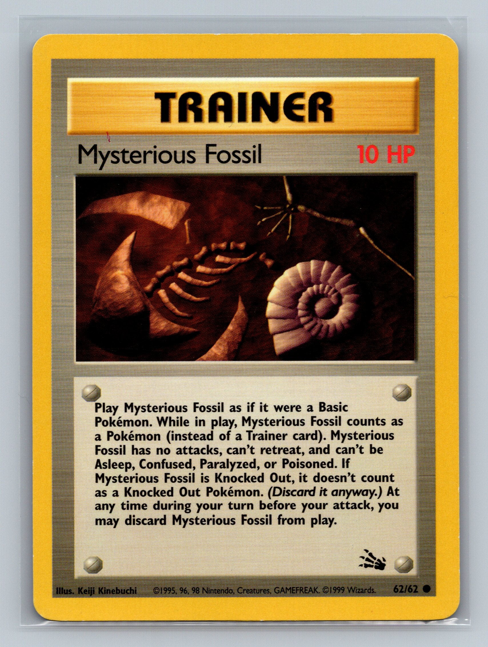 Mysterious Fossil