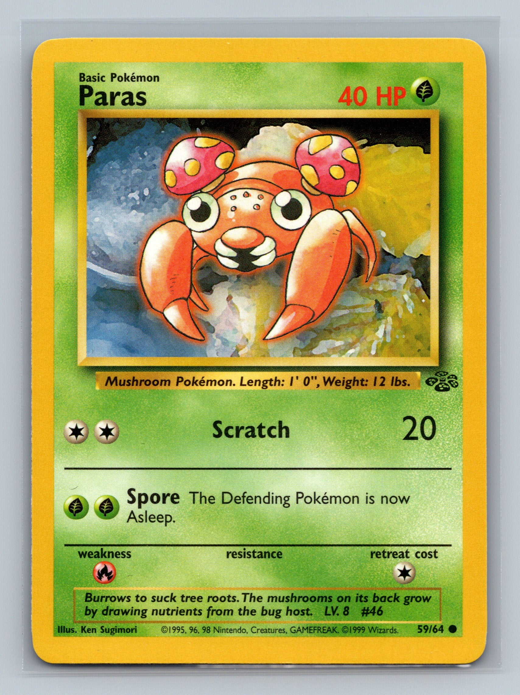 Paras