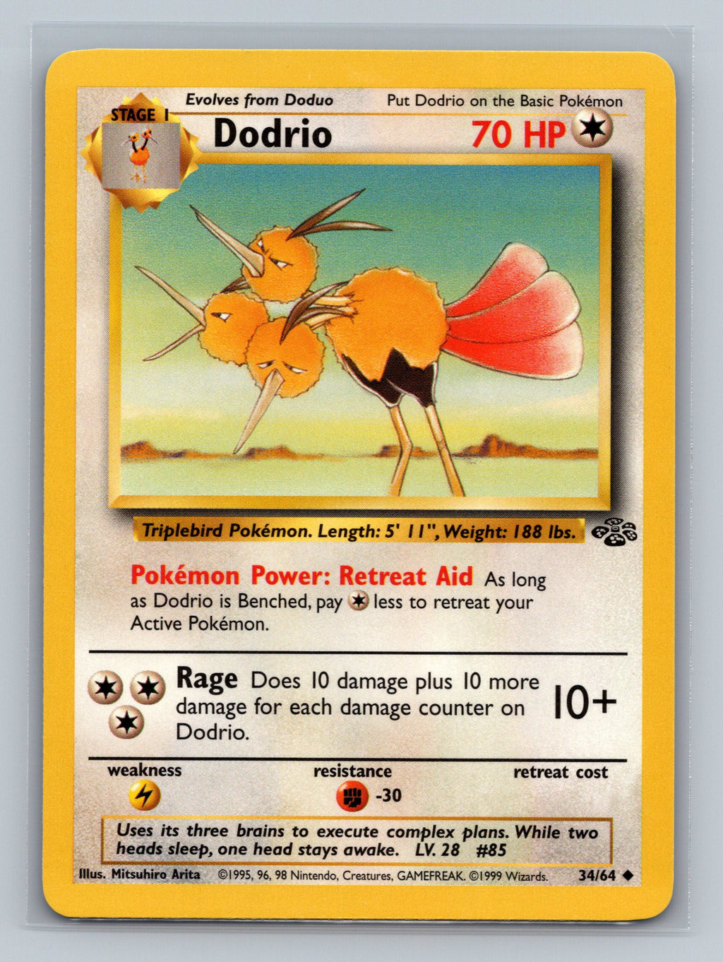 Dodrio