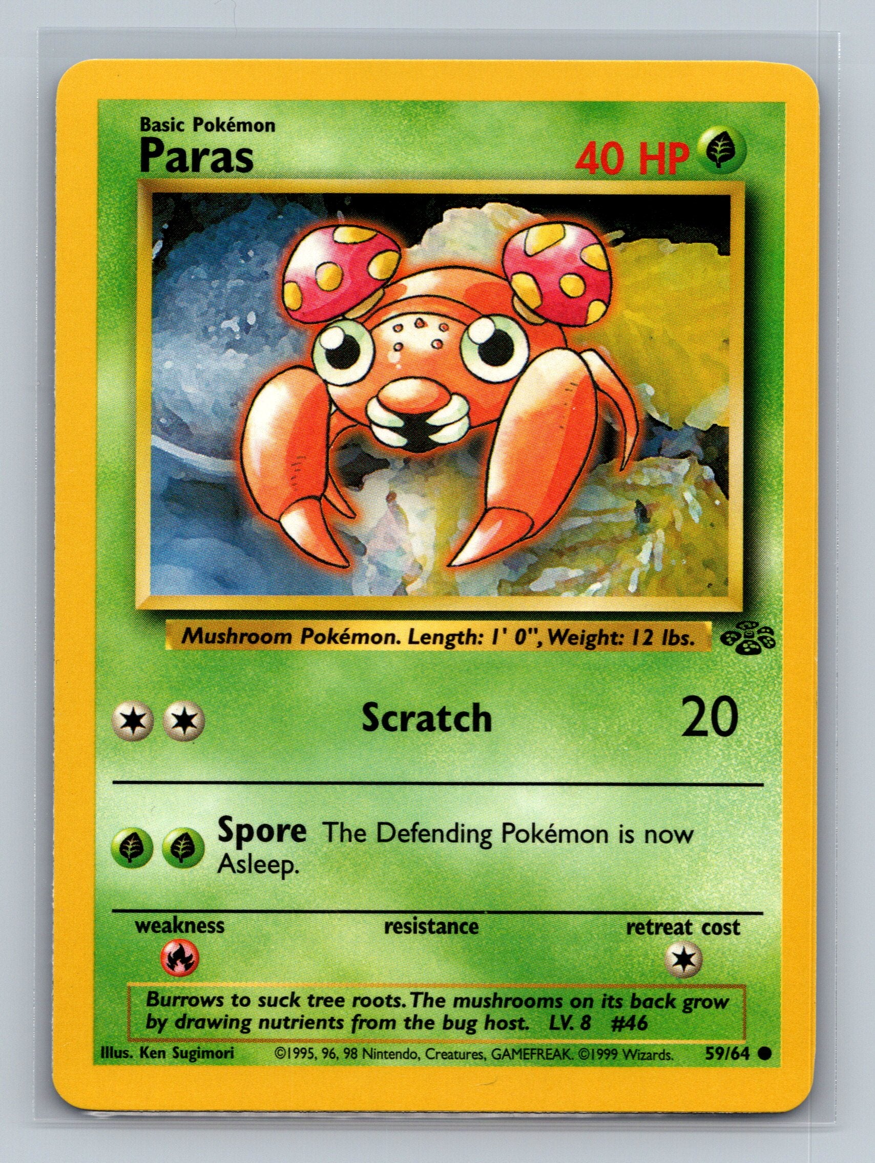 Paras