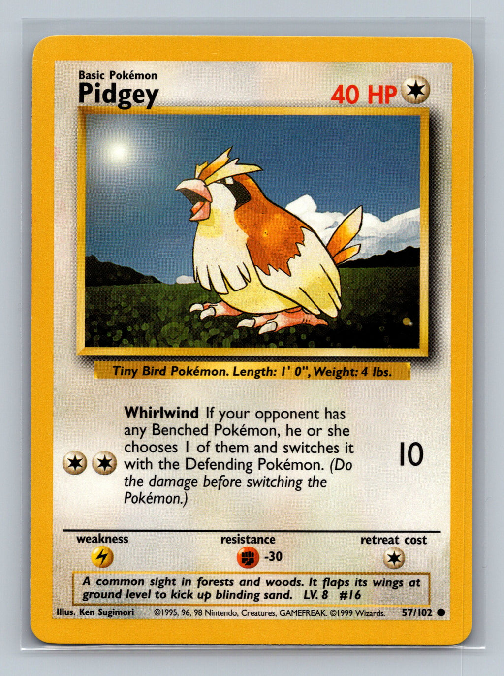 Pidgey