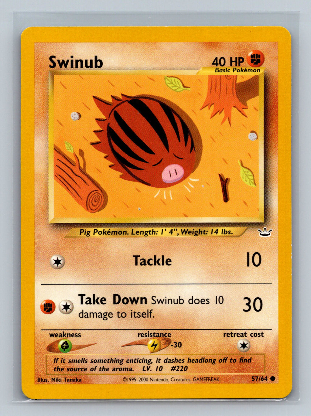 Swinub