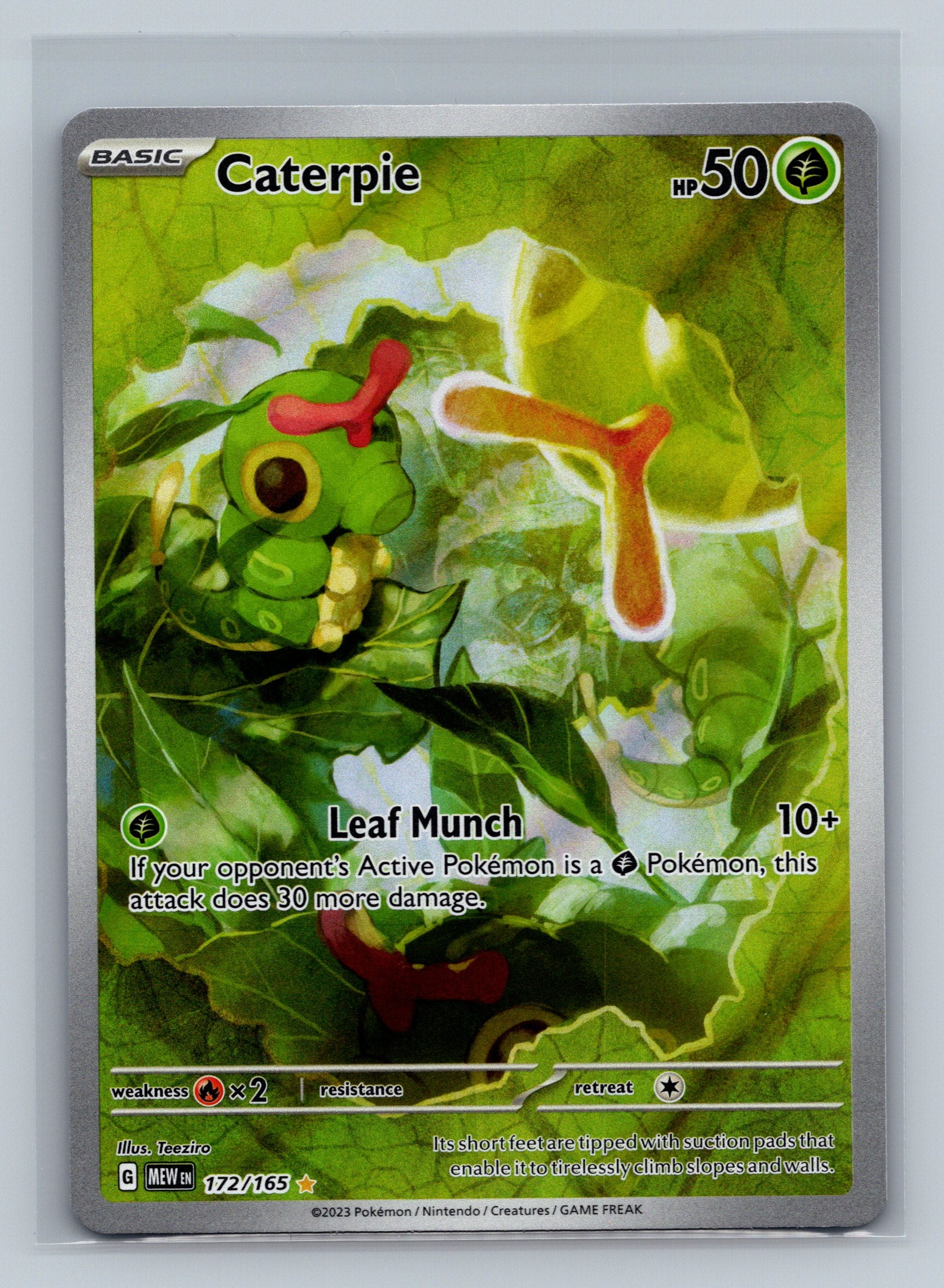 Caterpie - 172/165