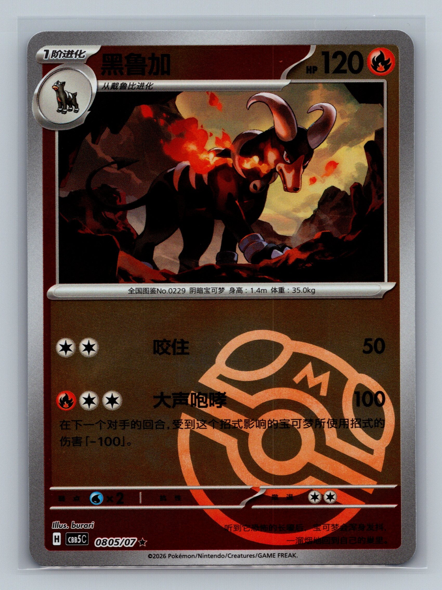 Houndoom - 805