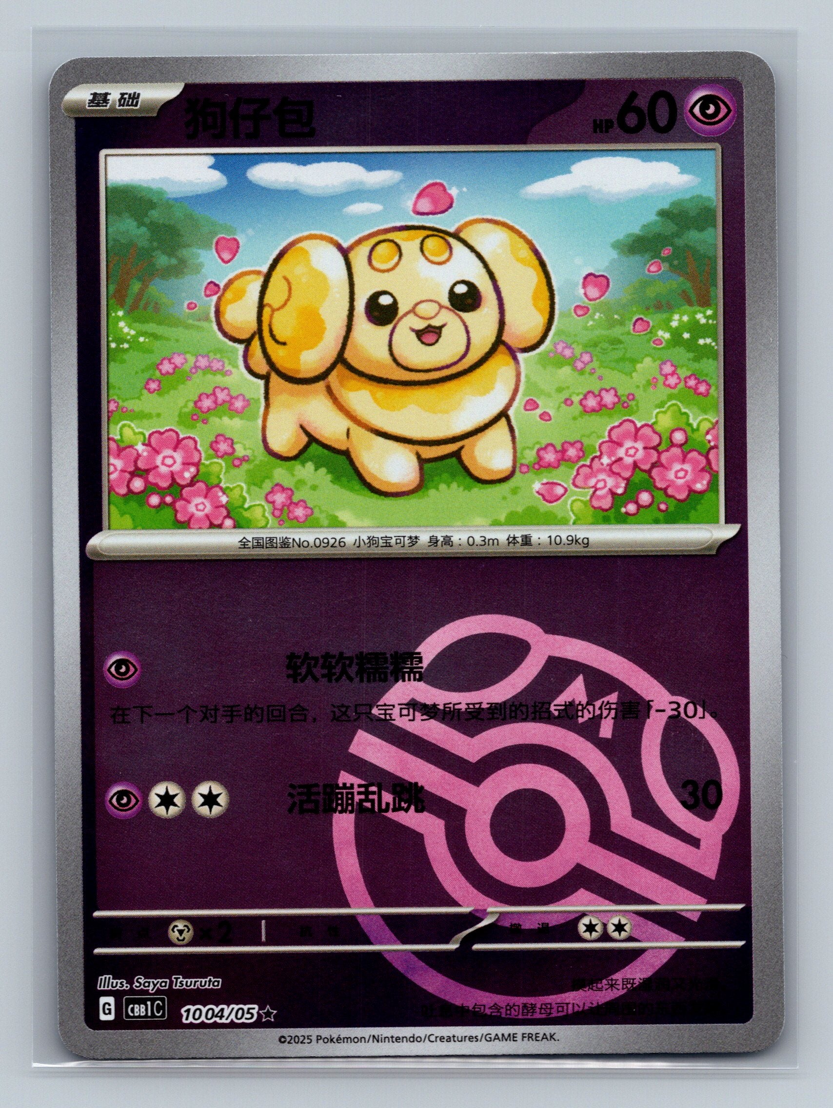 Fidough (Masterball) - 1004