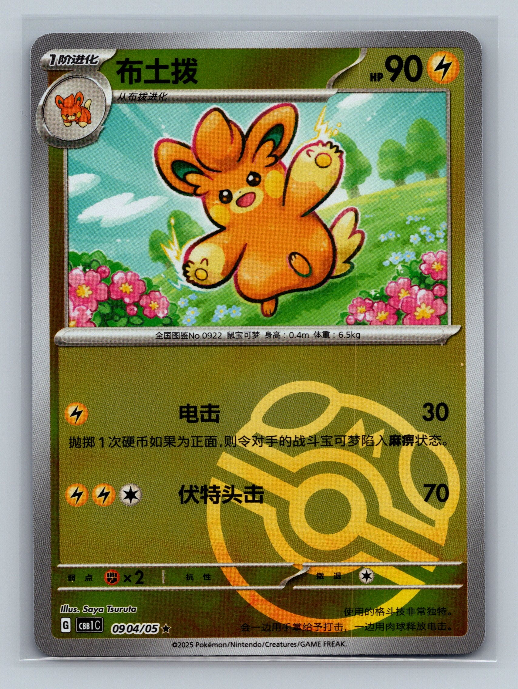 Pawmo (Masterball) - 904