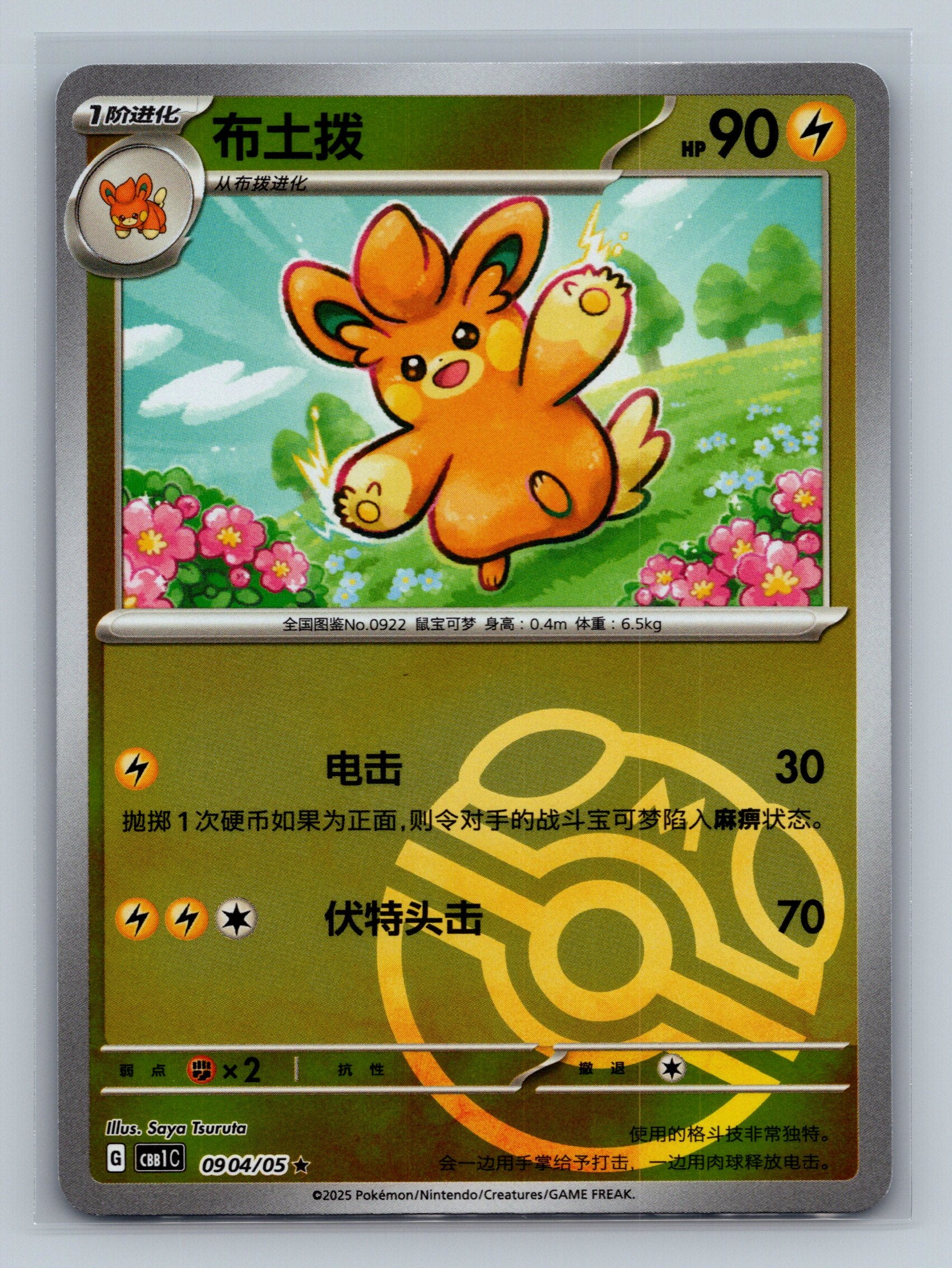Pawmo (Masterball) - 904
