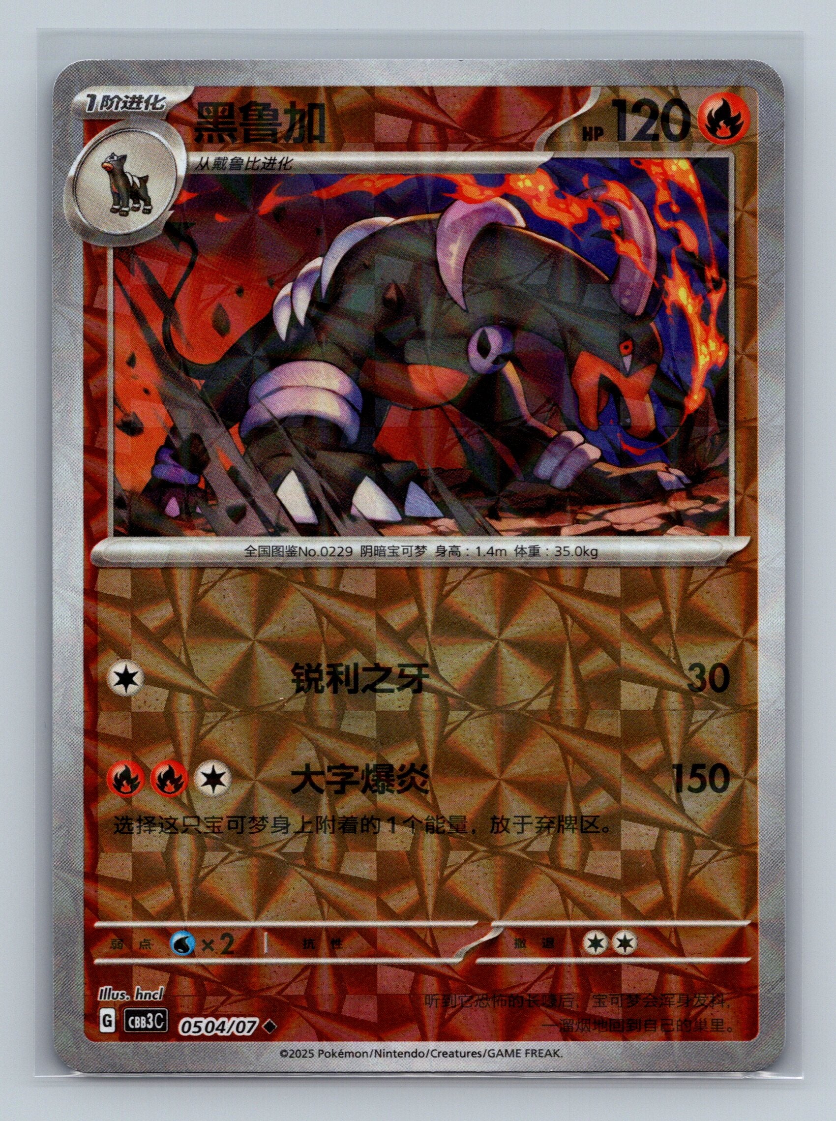 Houndoom (Rotary) - 504