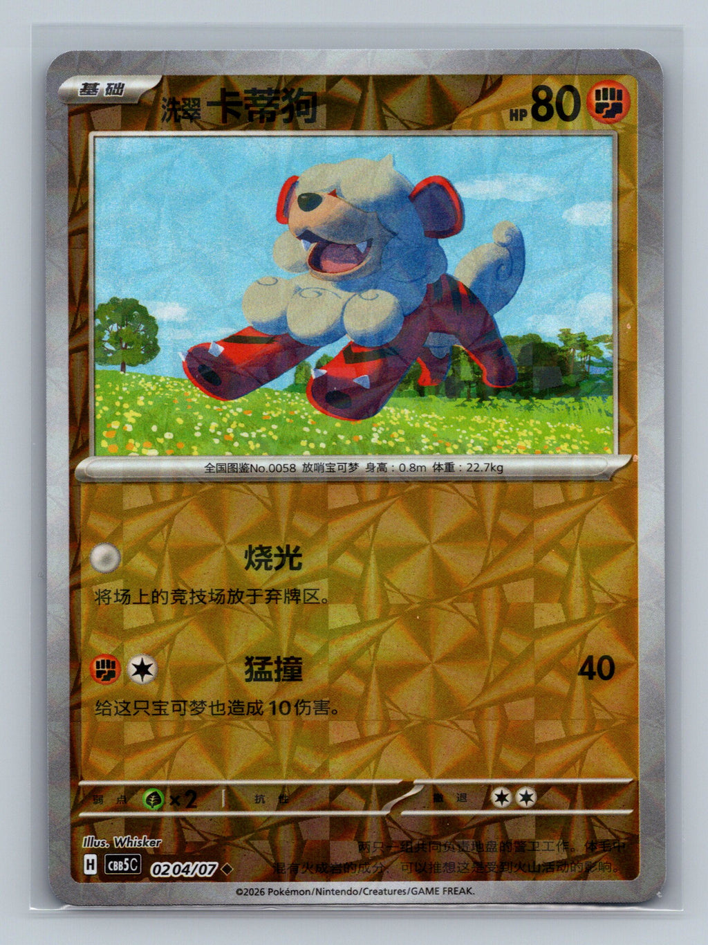 Hisuian Growlithe - 204