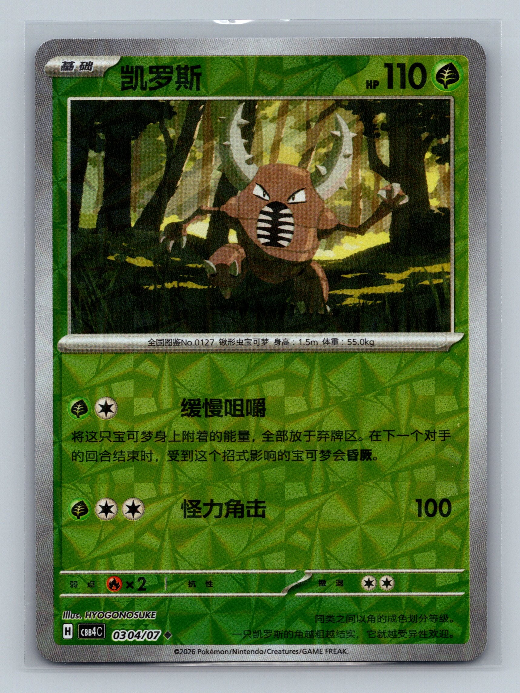 Pinsir - 304