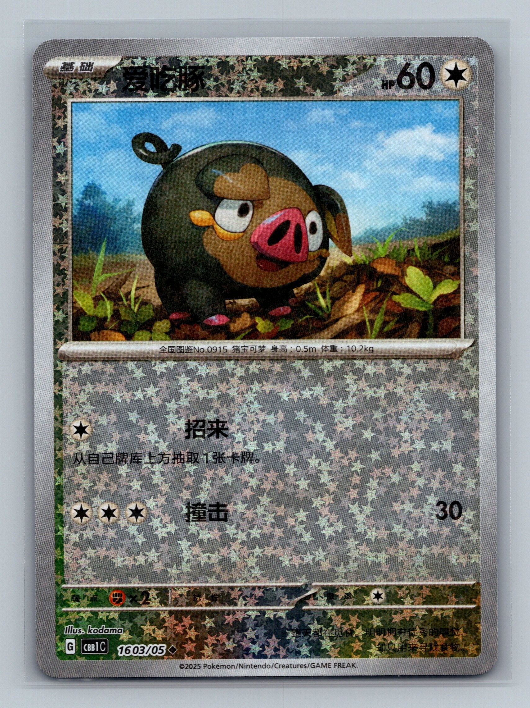 Lechonk (Stars) - 1603