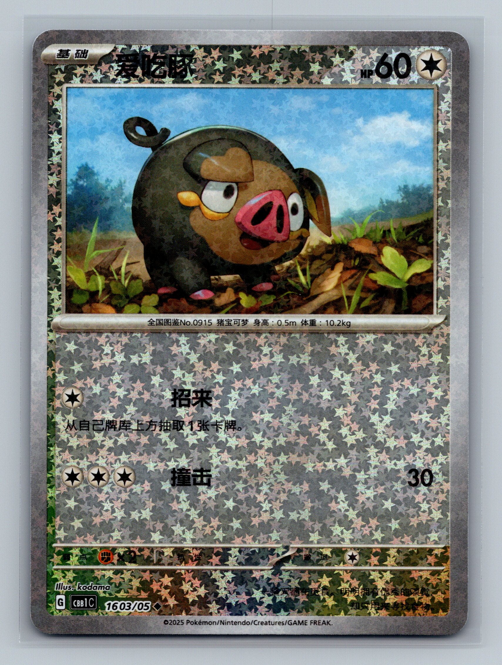 Lechonk (Stars) - 1603
