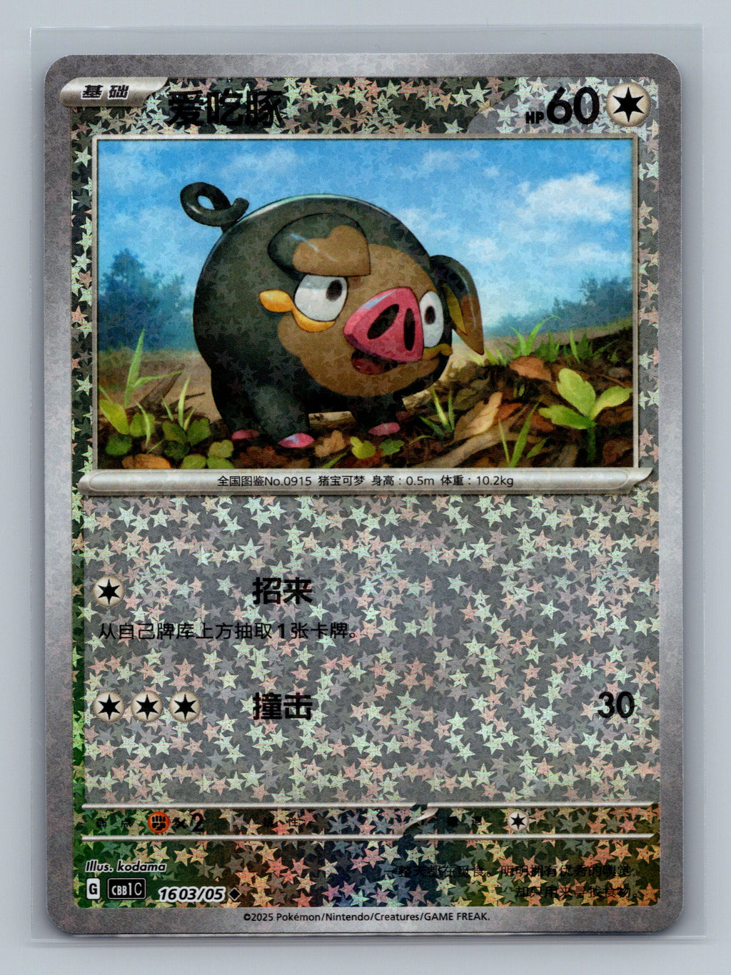 Lechonk (Stars) - 1603