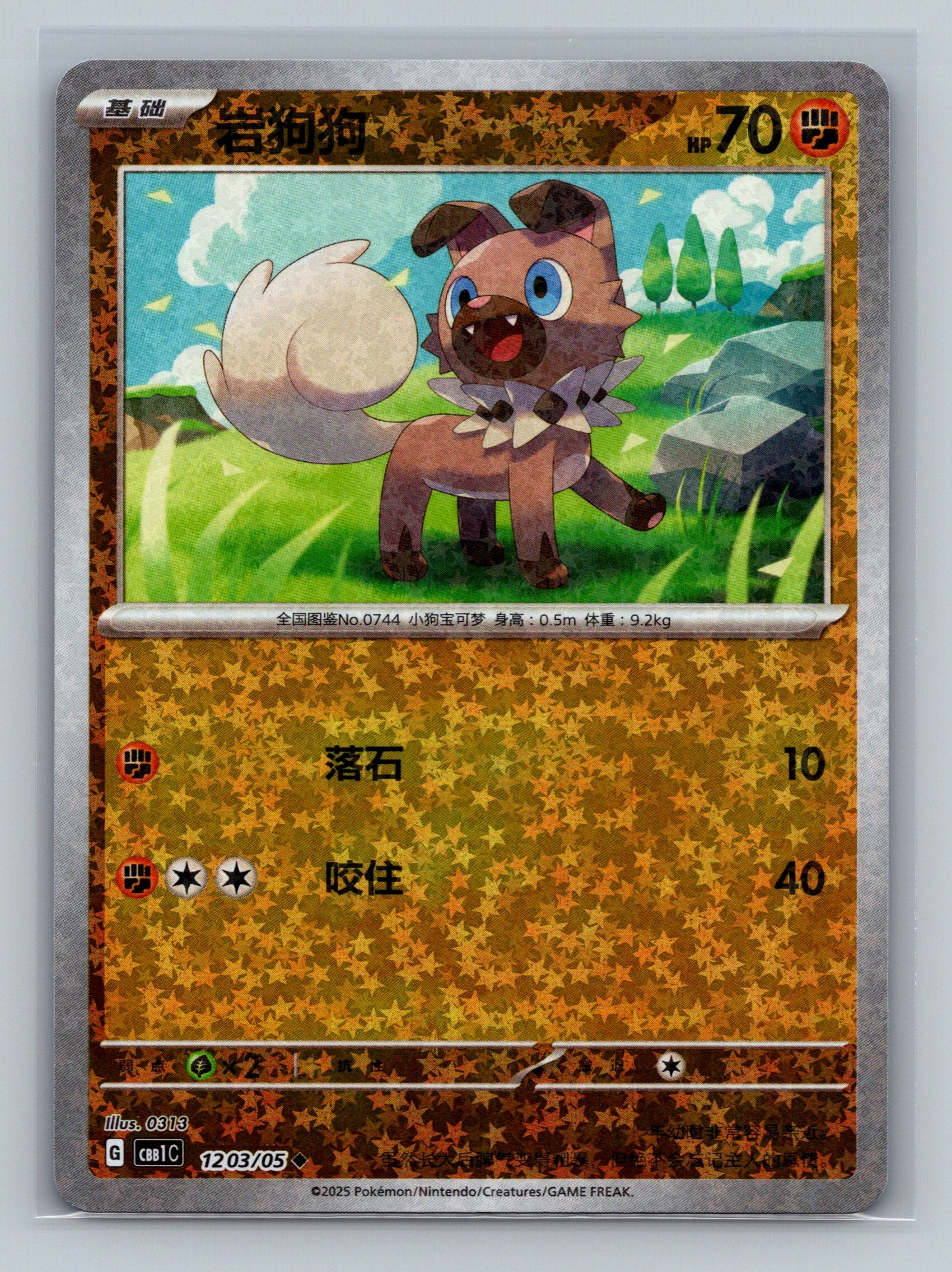 Rockruff (Stars) - 1203