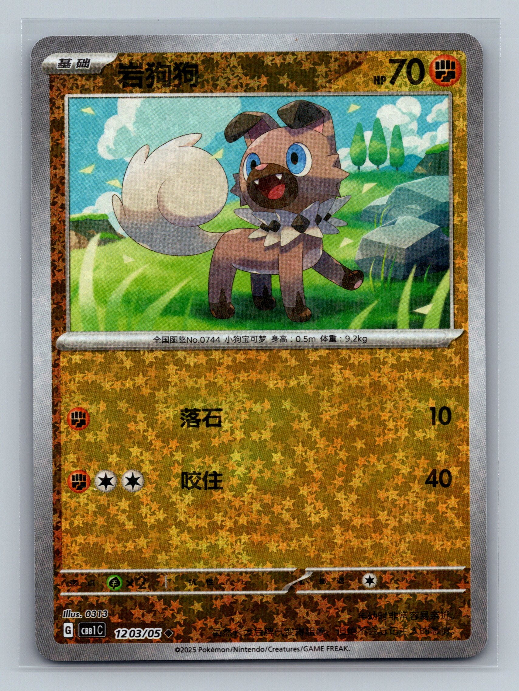 Rockruff (Stars) - 1203