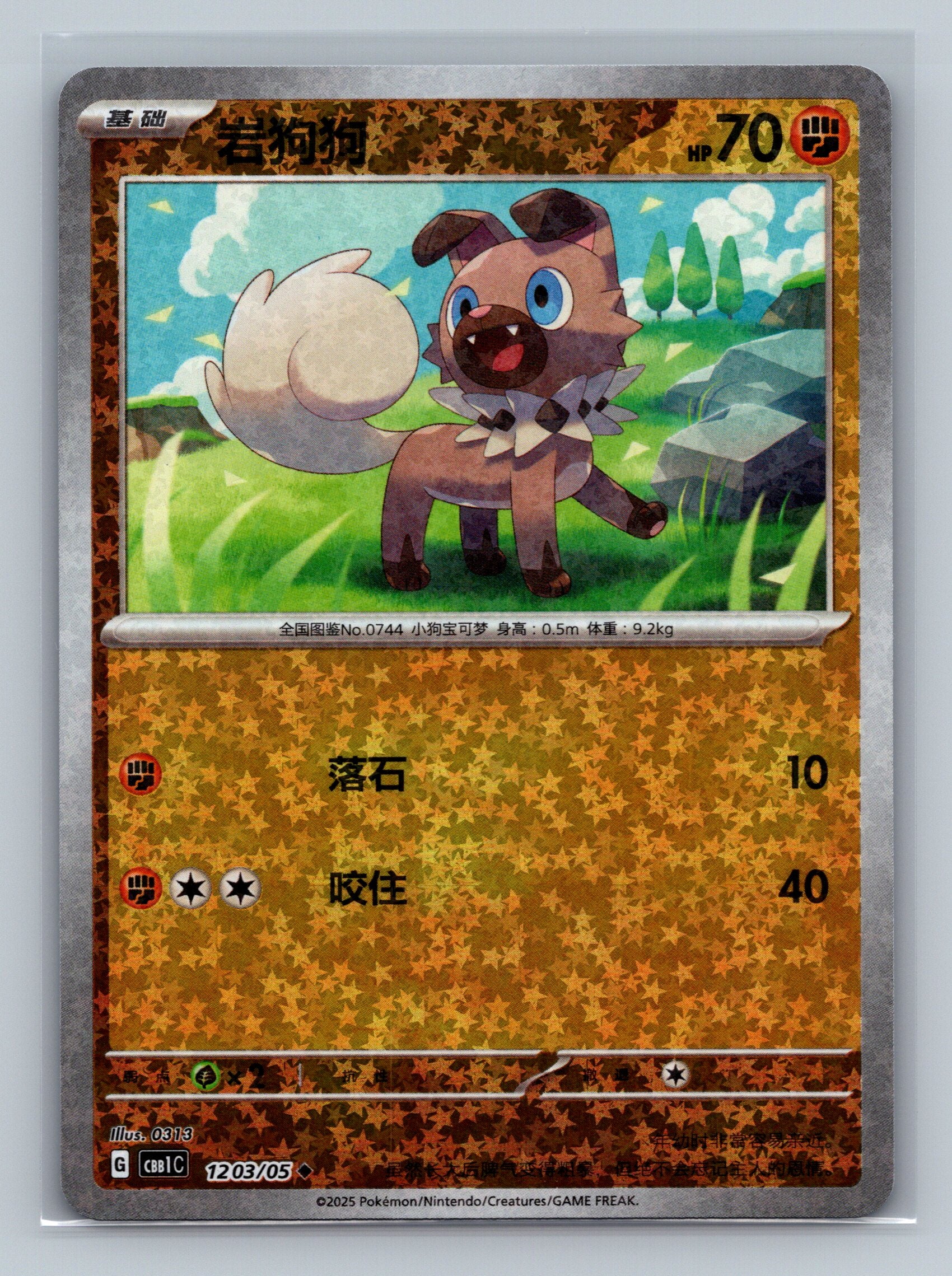 Rockruff (Stars) - 1203