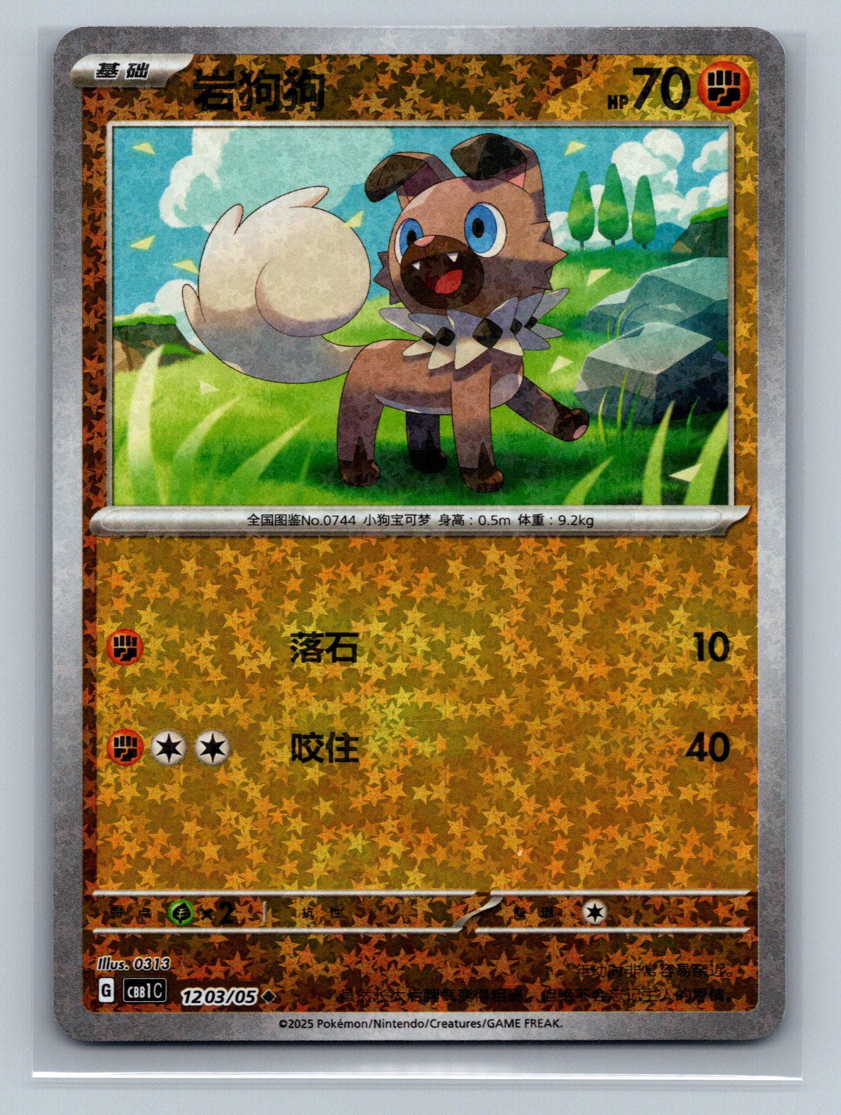 Rockruff (Stars) - 1203