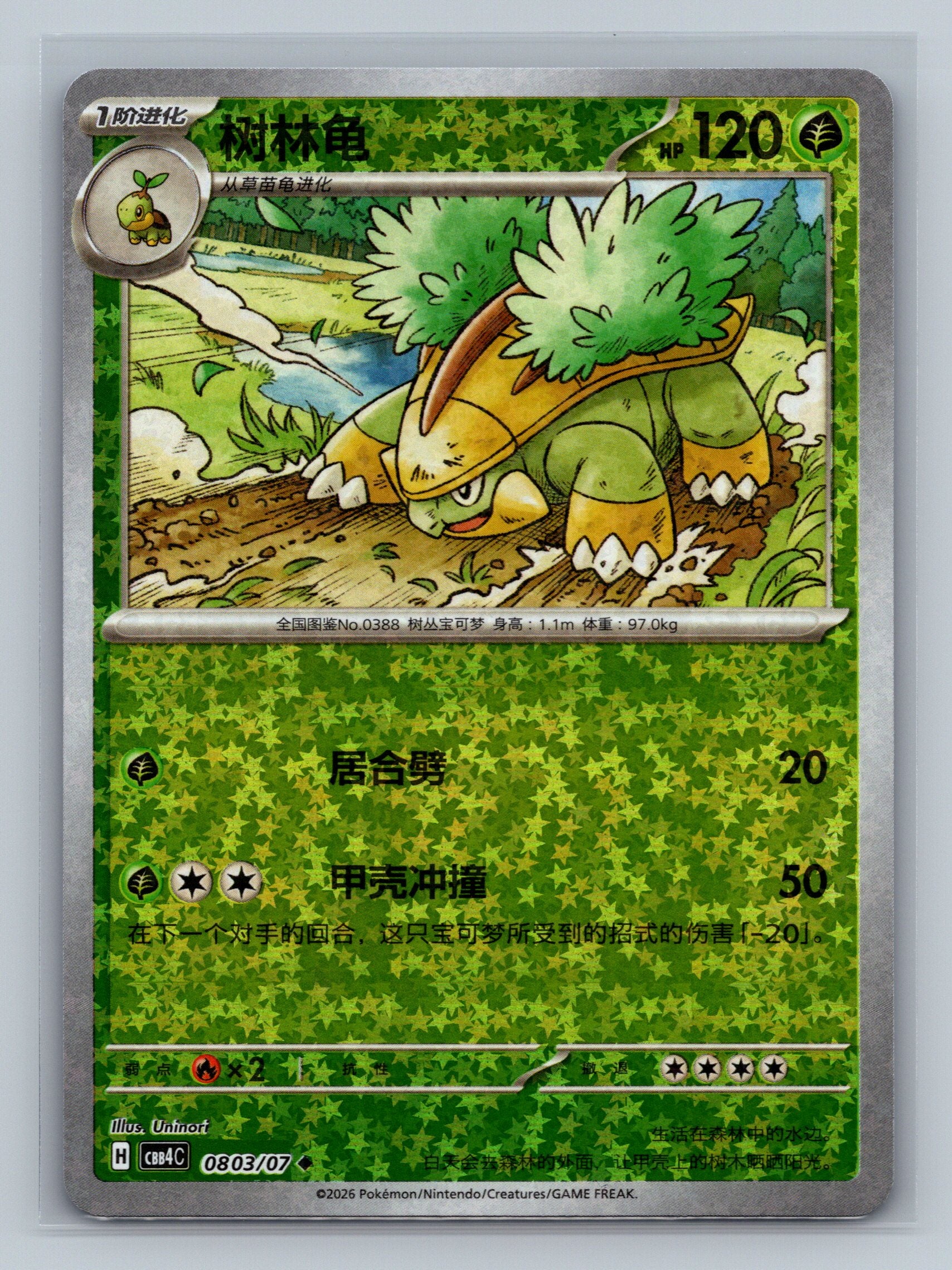 Grotle - 803
