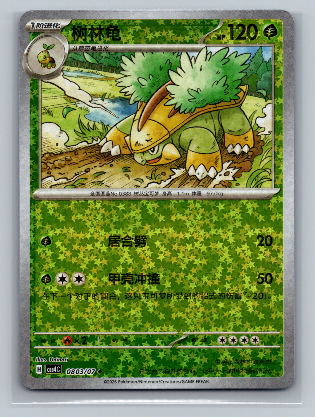 Grotle - 803