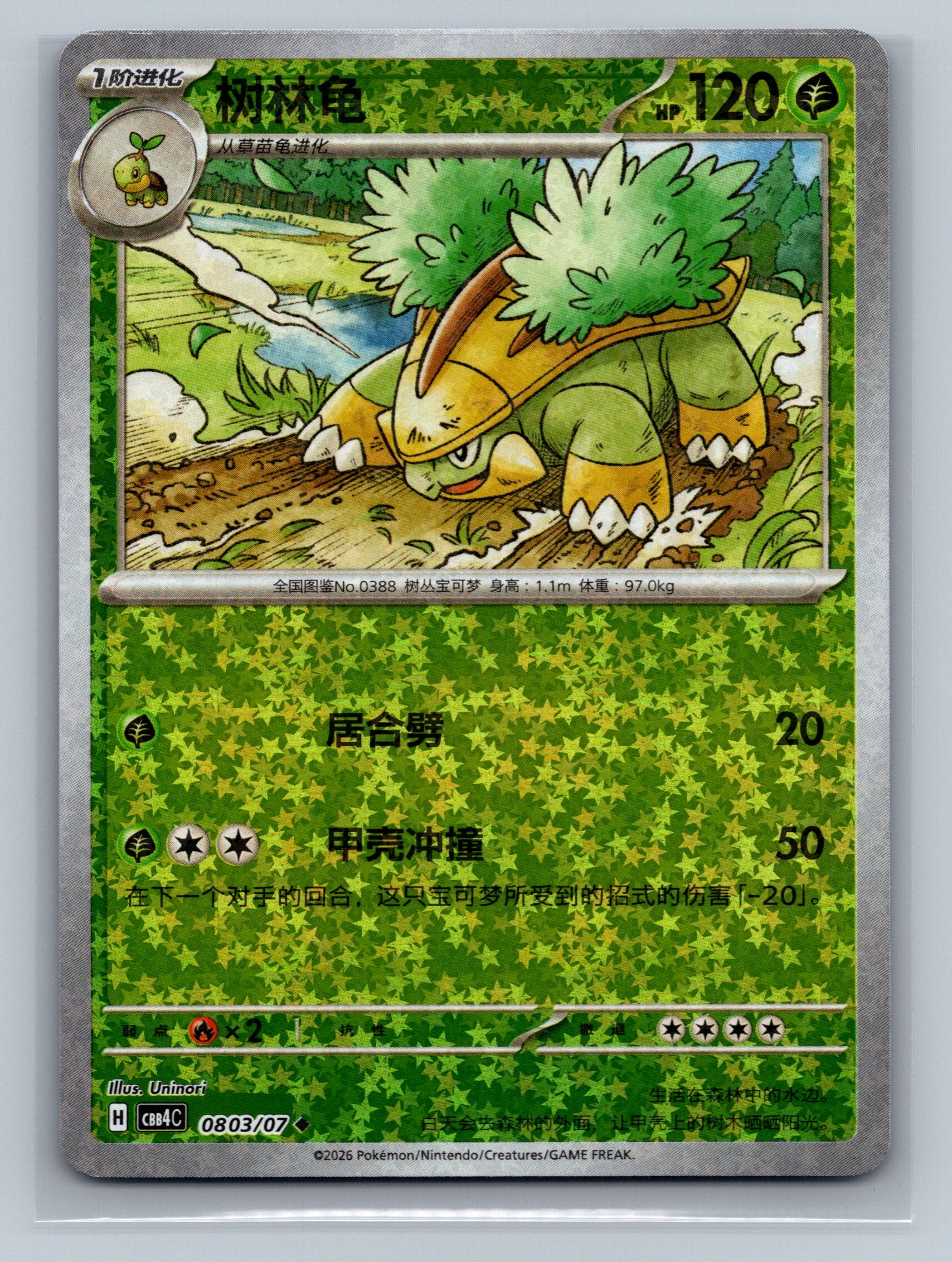 Grotle - 803